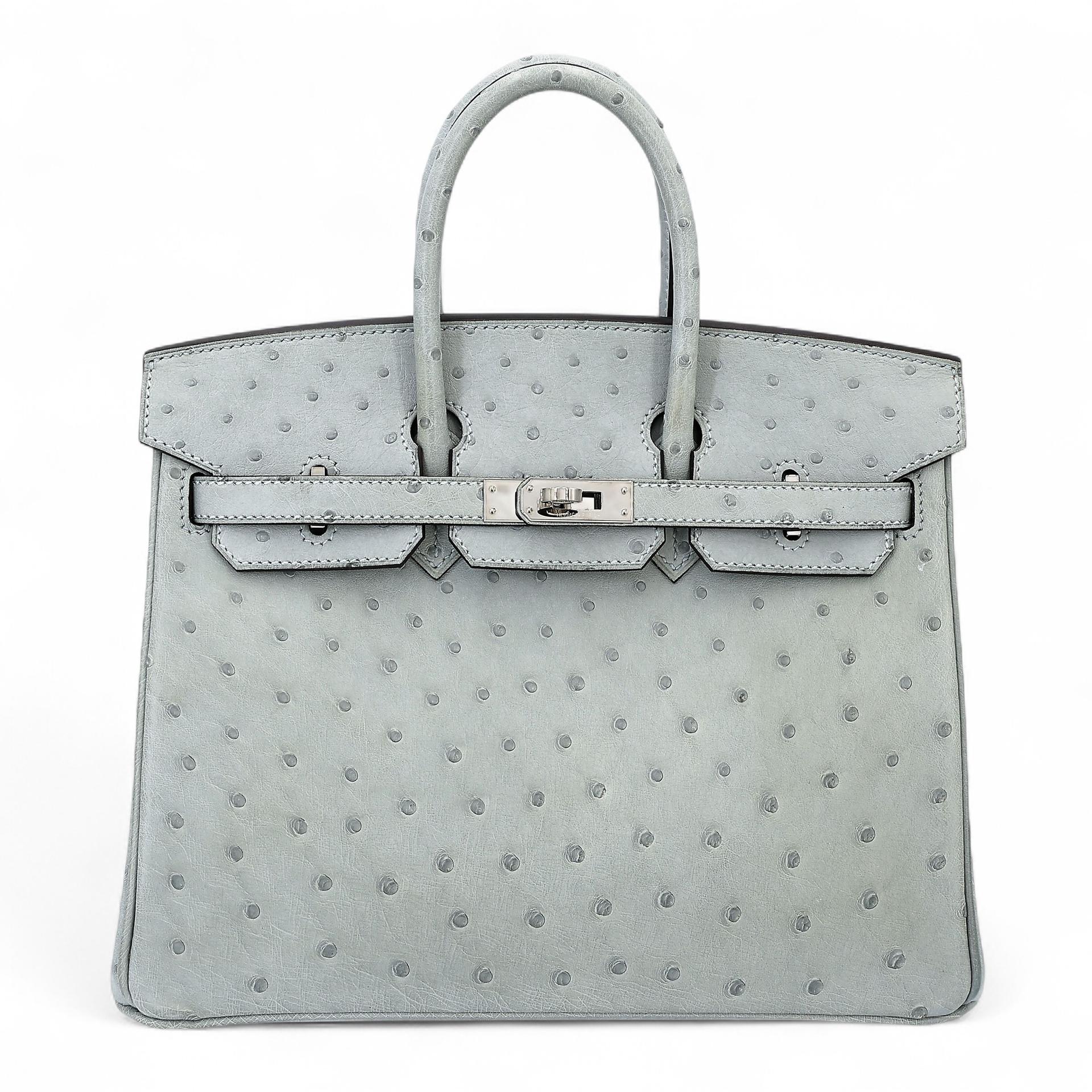 Excellent ( Rank SA ) HERMÈS Birkin 25 Bleu Glacier (8U) Ostrich Palladium hardware B (2023) - 1