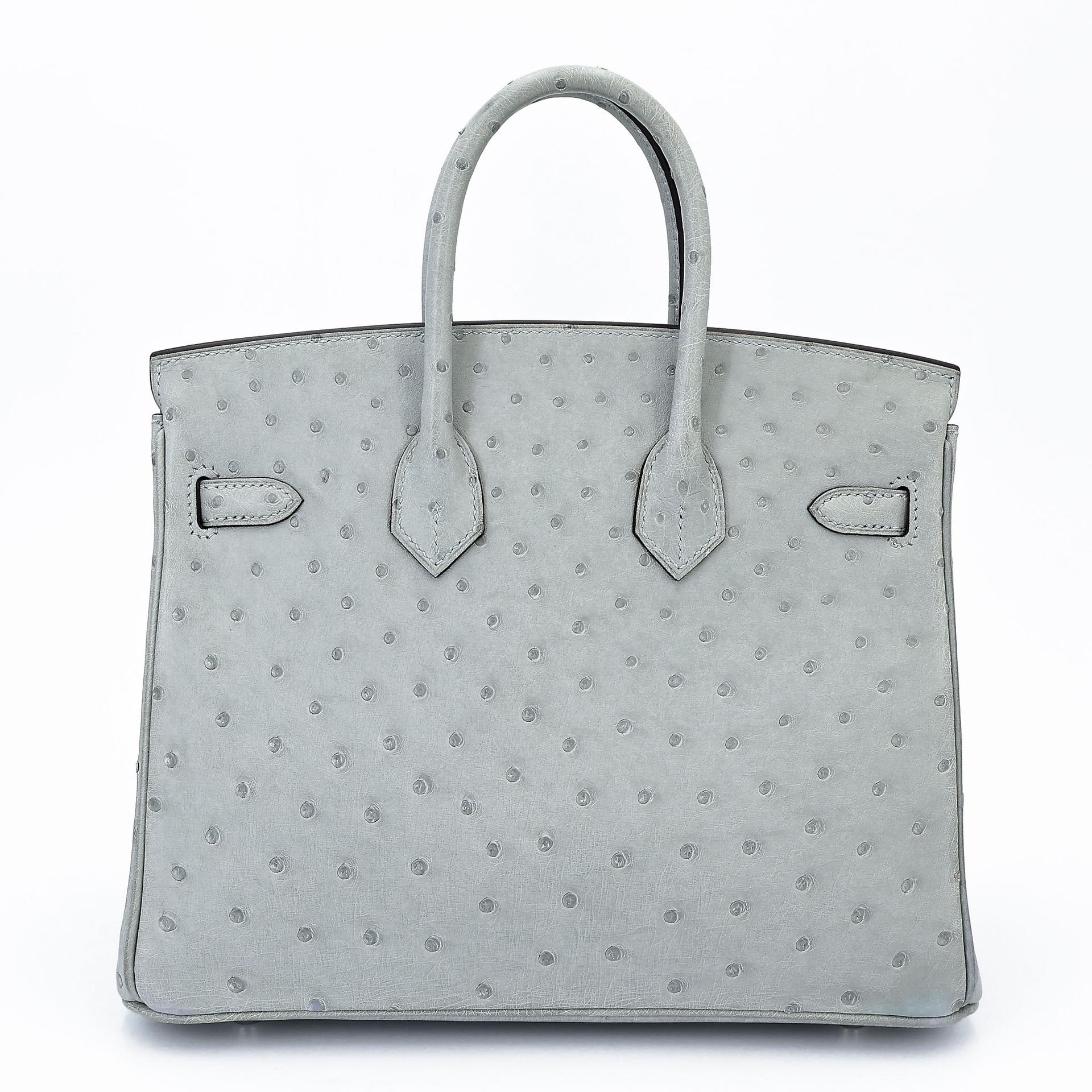 Excellent ( Rank SA ) HERMÈS Birkin 25 Bleu Glacier (8U) Ostrich Palladium hardware B (2023) - 2