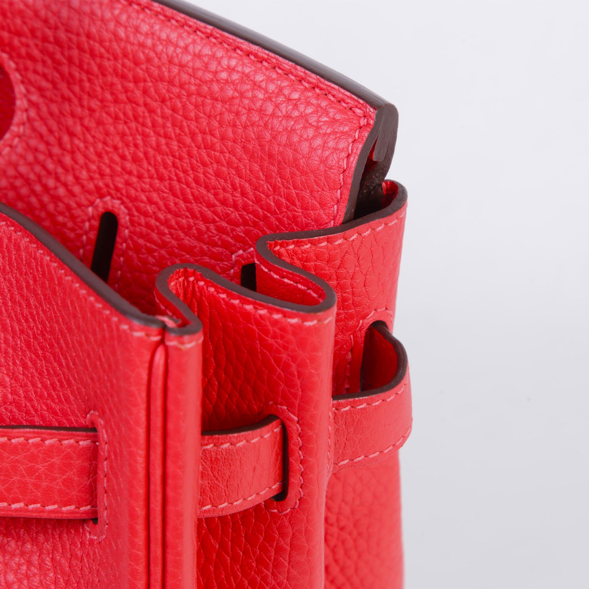 ランク A HERMÈS エルメス バーキン30 ルージュピヴォワンヌ (2R) トリヨン シルバー金具 T刻印 (2015) - 12