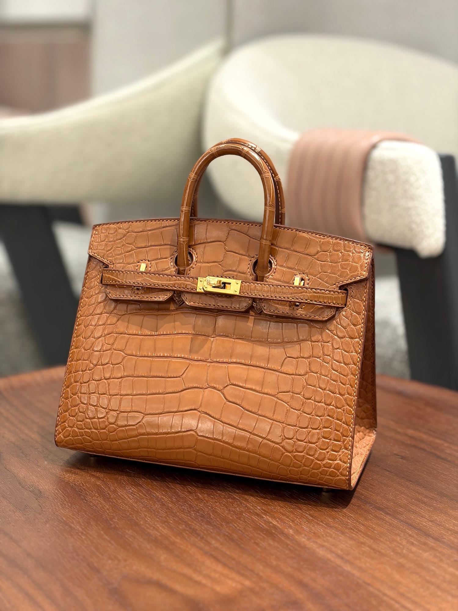 Brand New ( Rank N ) HERMÈS Birkin 20 Sellier Gold (37) Matte Alligator Gold hardware W (2024) - 4