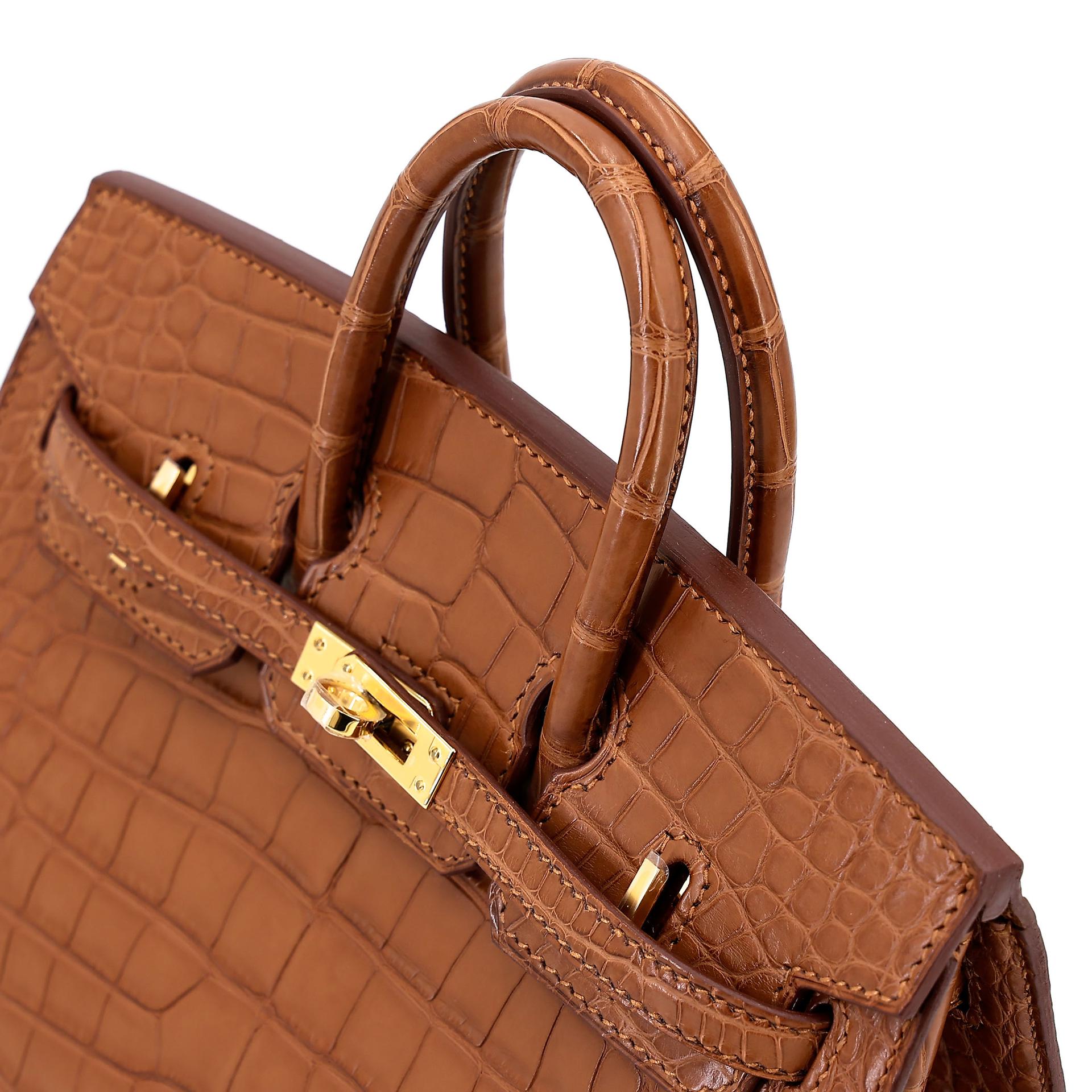 Brand New ( Rank N ) HERMÈS Birkin 20 Sellier Gold (37) Matte Alligator Gold hardware W (2024) - 5