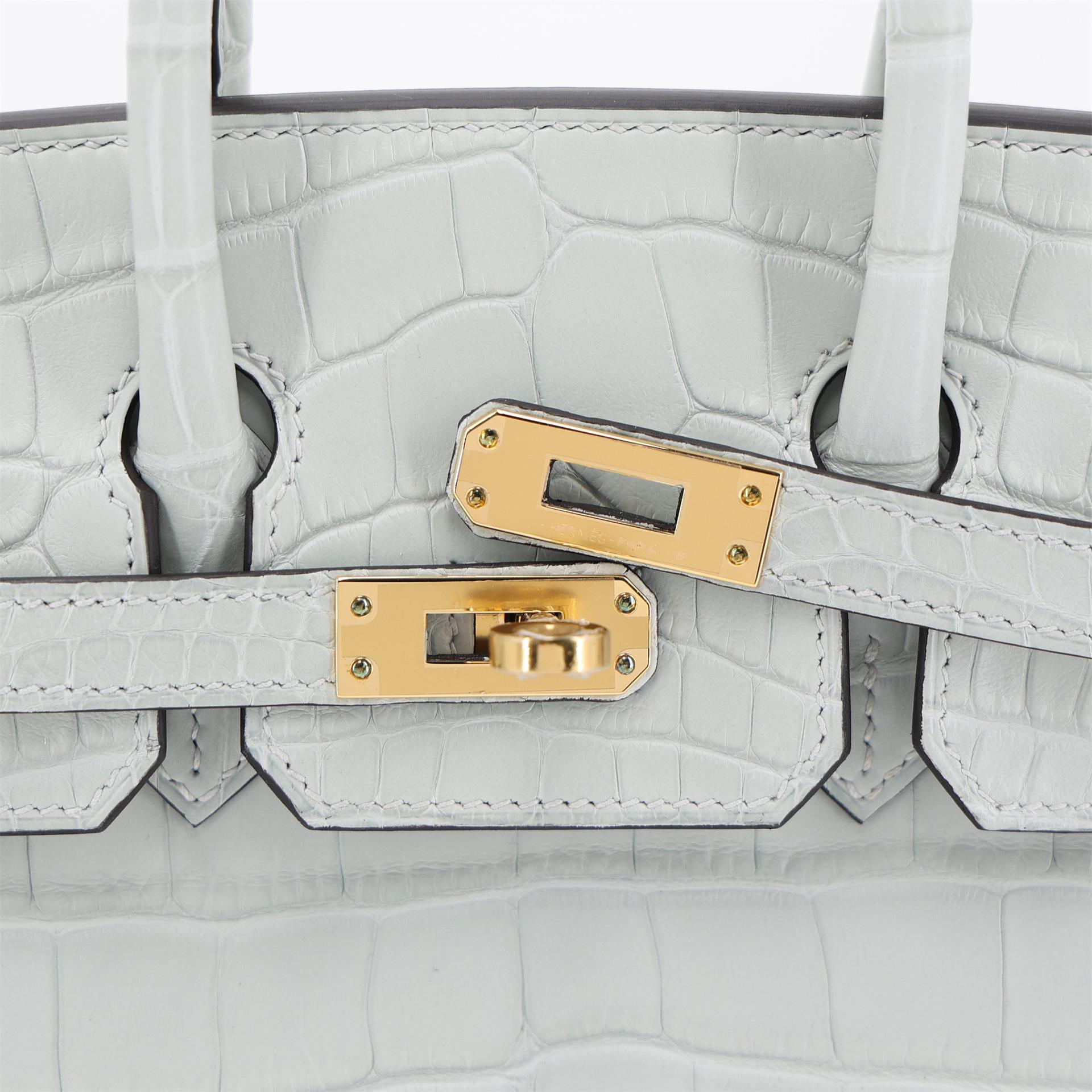 Brand New ( Rank N ) HERMÈS Birkin 25 Gris Neve (0W) Matte Alligator Gold hardware W (2024) - 8