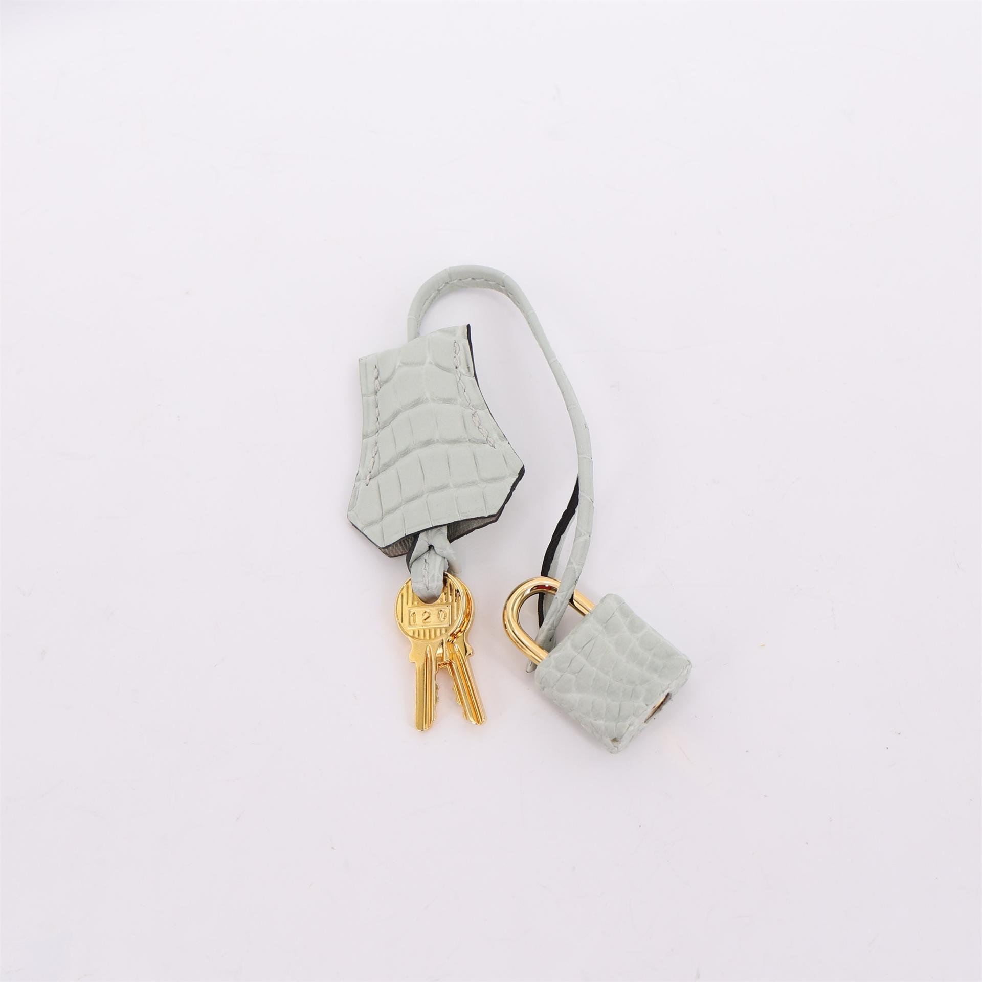 Brand New ( Rank N ) HERMÈS Birkin 25 Gris Neve (0W) Matte Alligator Gold hardware W (2024) - 17