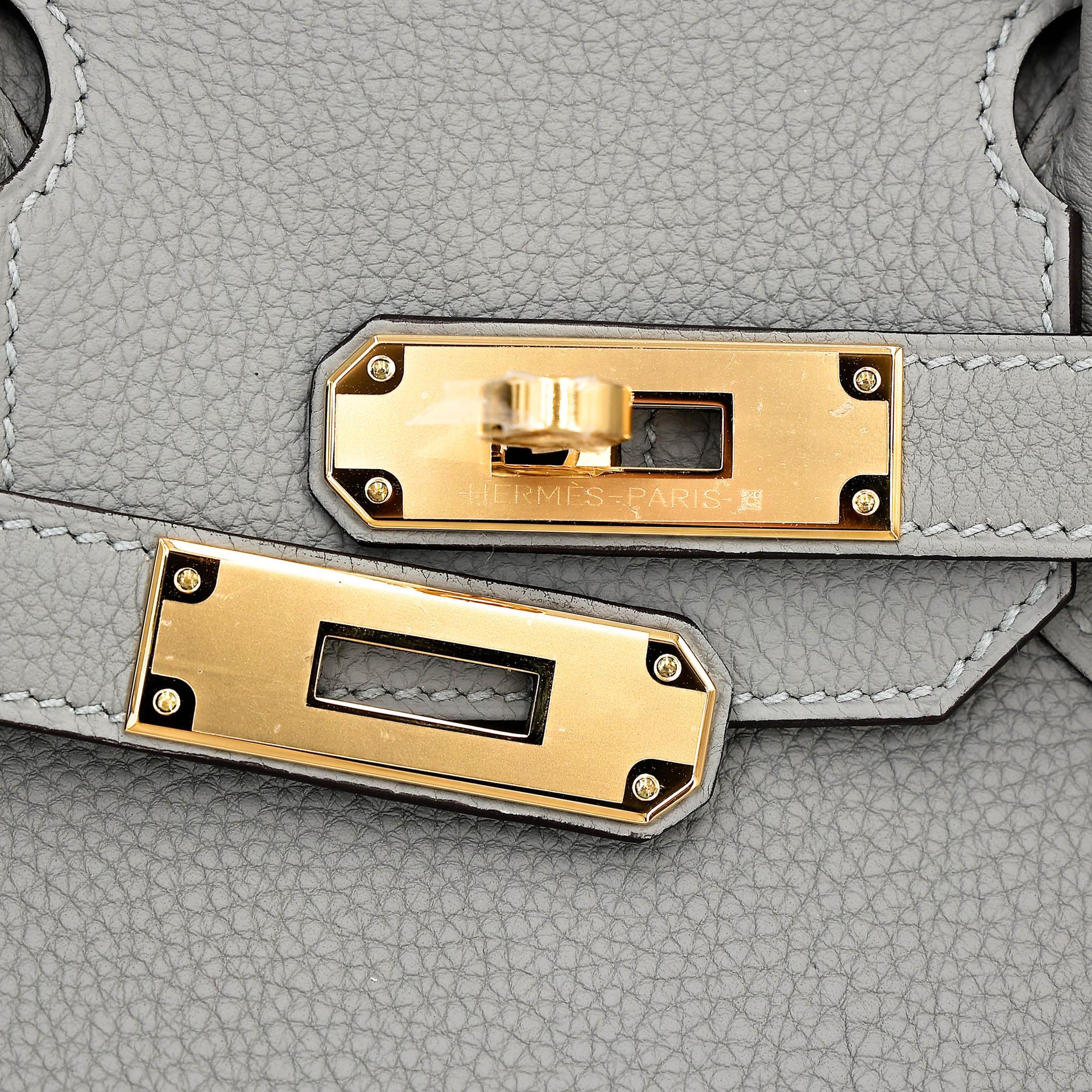 Unused ( Rank NS ) HERMÈS Birkin 30 Gris Mouette (4Z) Togo Gold hardware W (2024) - 8
