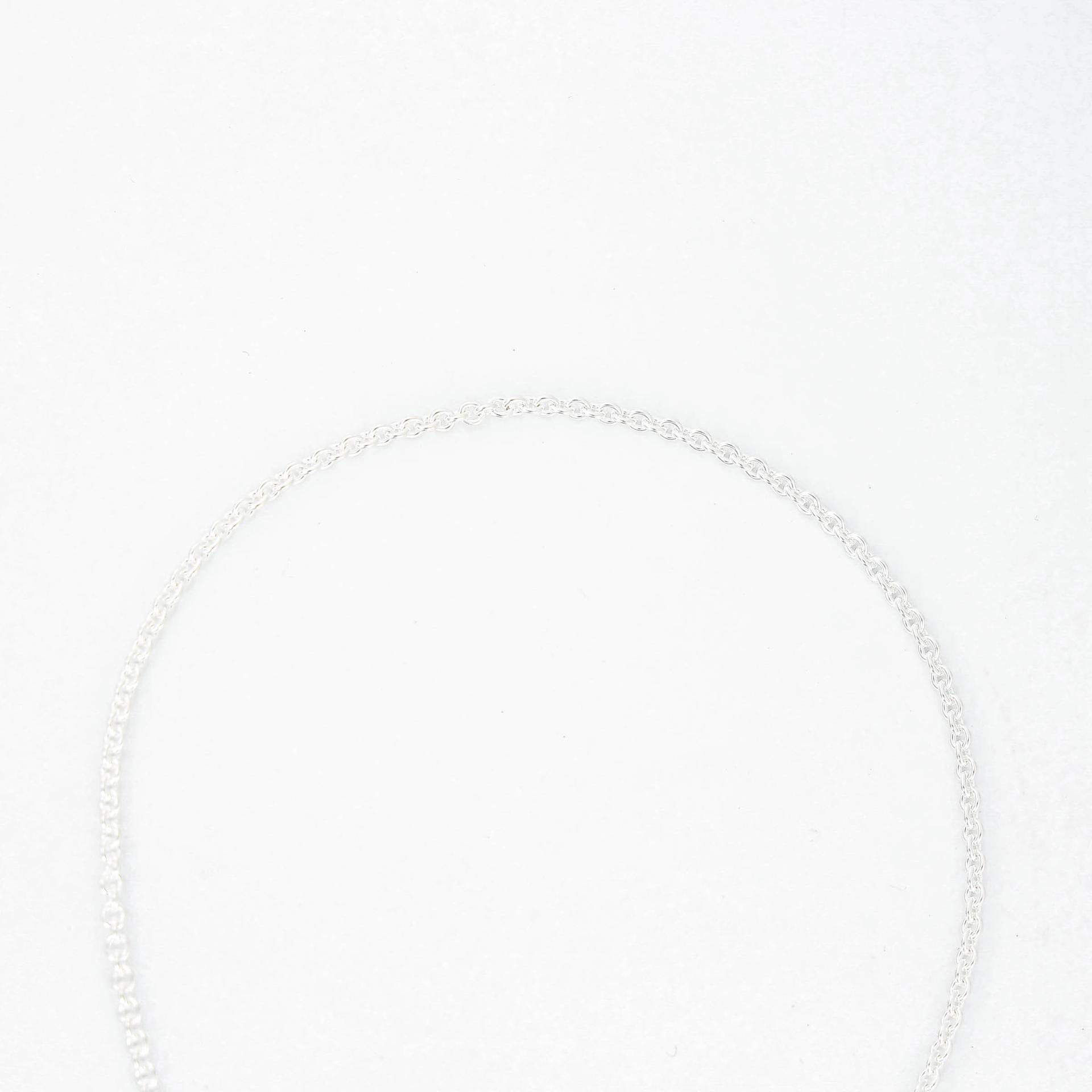 Brand New ( Rank N ) HERMÈS Amulettes Kelly Pendant Silver Silver 925 - 5