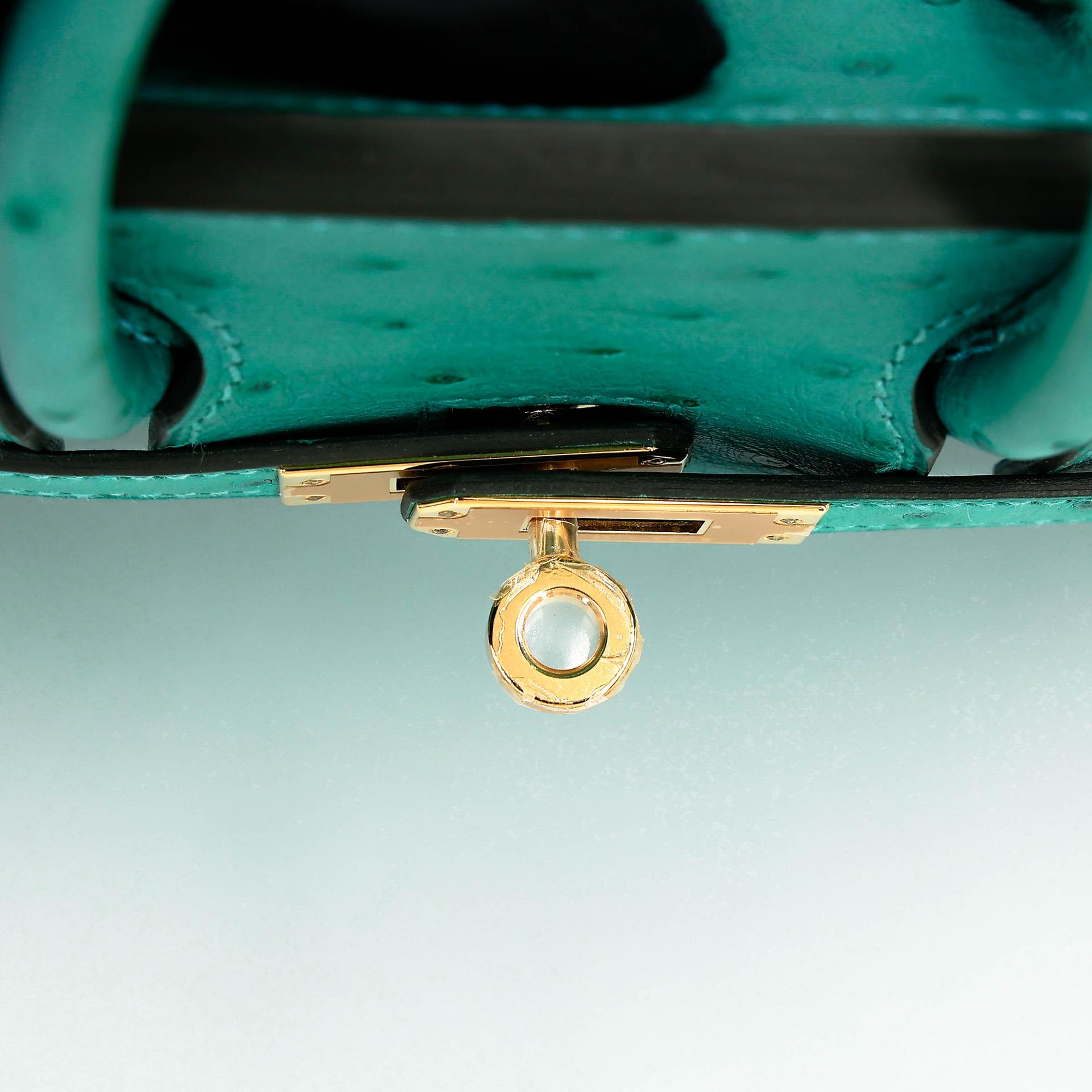 Unused ( Rank NS ) HERMÈS Birkin 25 Vert Verone (U1) Ostrich Gold hardware U (2022) - 9