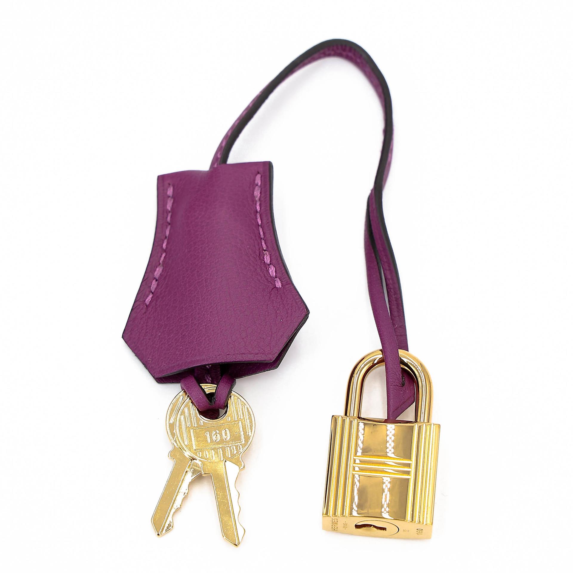 Very Good ( Rank A) HERMÈS Birkin 25 Anemone (P9) Swift Gold hardware D (2019) - 40