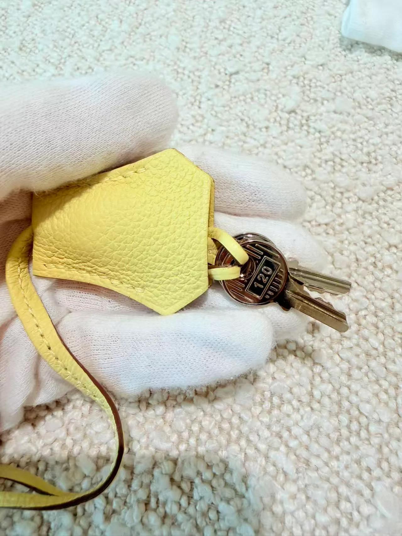Excellent ( Rank SA ) HERMÈS Birkin 25 Jaune Poussin (1Z) Togo Palladium hardware B (2023) - 24