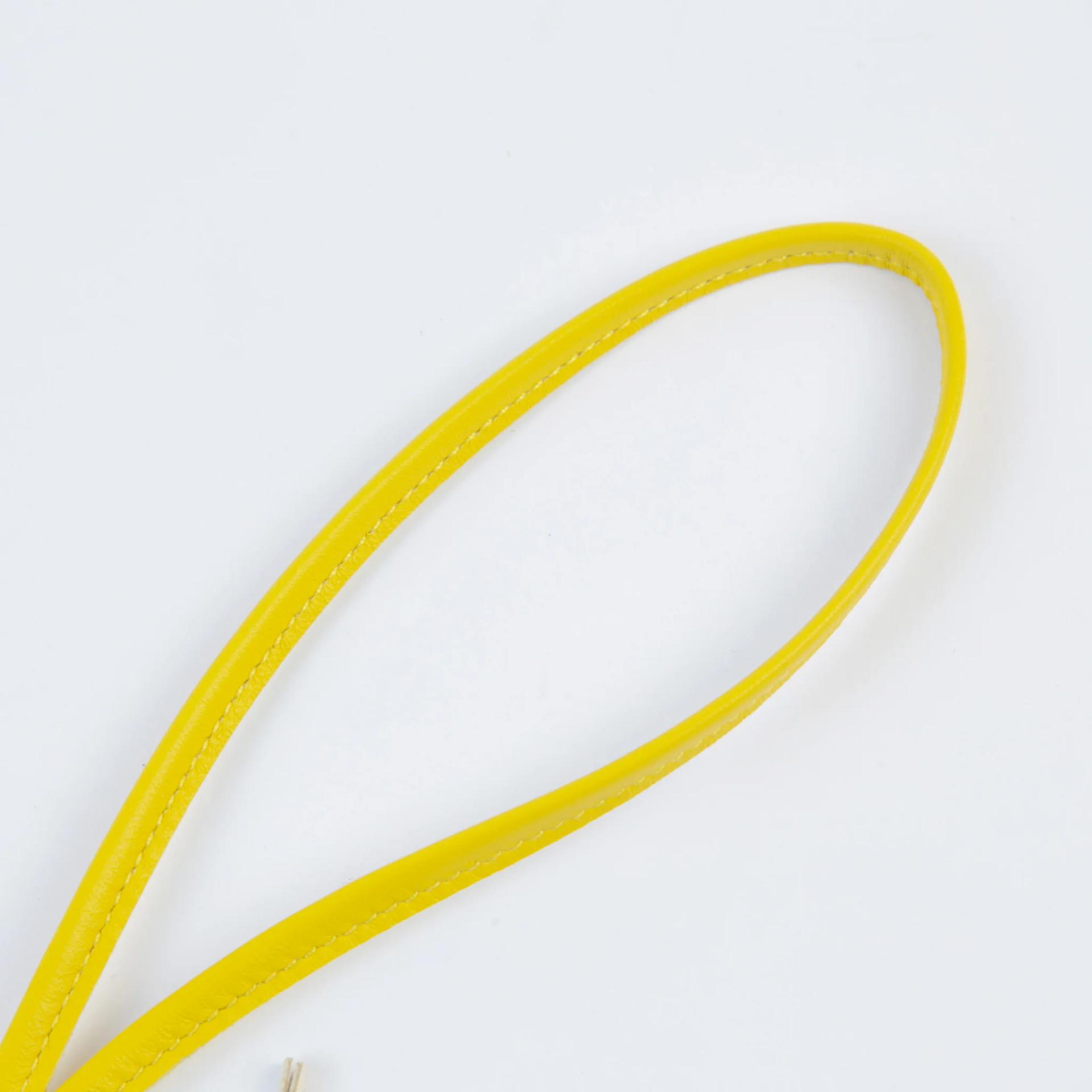 Brand New ( Rank N ) HERMÈS Rodeo Robe au Coeur PM Craie (10) Terre (4D) Jaune de Naples (9O) Agneau Milo G (2026) - 4