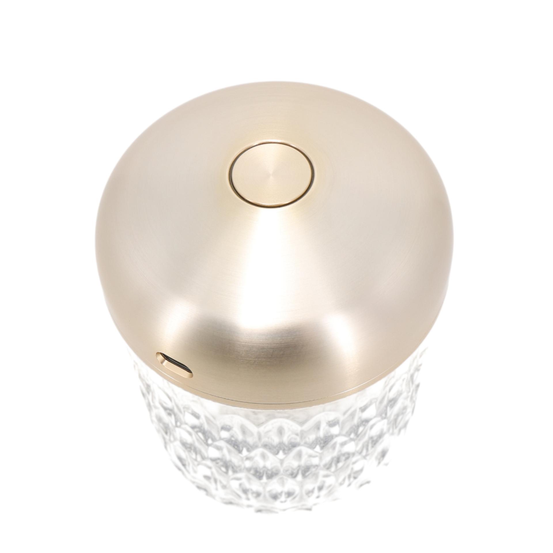 Brand New ( Rank N ) HERMÈS Saint Louis Folia Portable Lamp Silver Stainless steel - 4