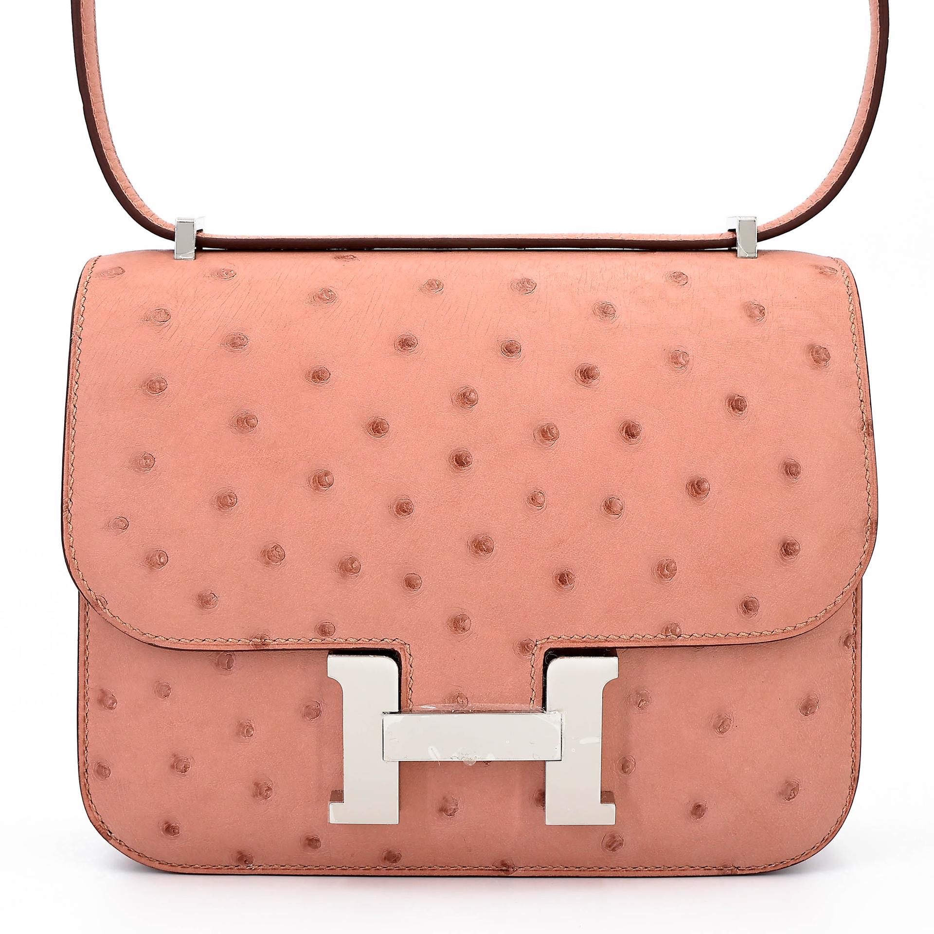 ランク NS 未使用品 HERMÈS エルメス コンスタンス3 ミニ テリキュート (94) オーストリッチ シルバー金具 W刻印 (2024) - 1