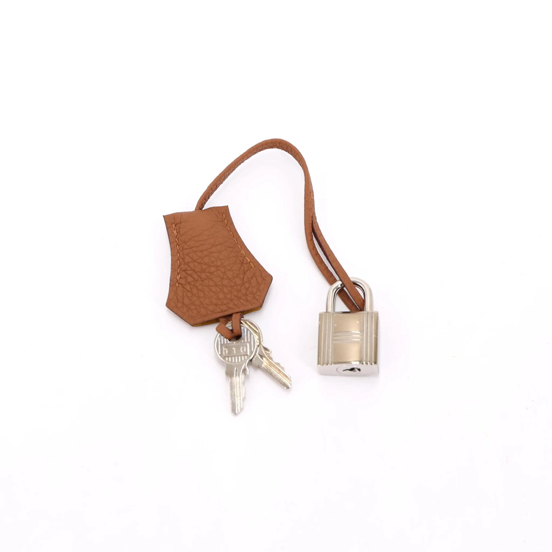 Unused ( Rank NS ) HERMÈS Limited Edition Birkin 25 Officer Gold (37) Togo Palladium hardware C (2018) - 17