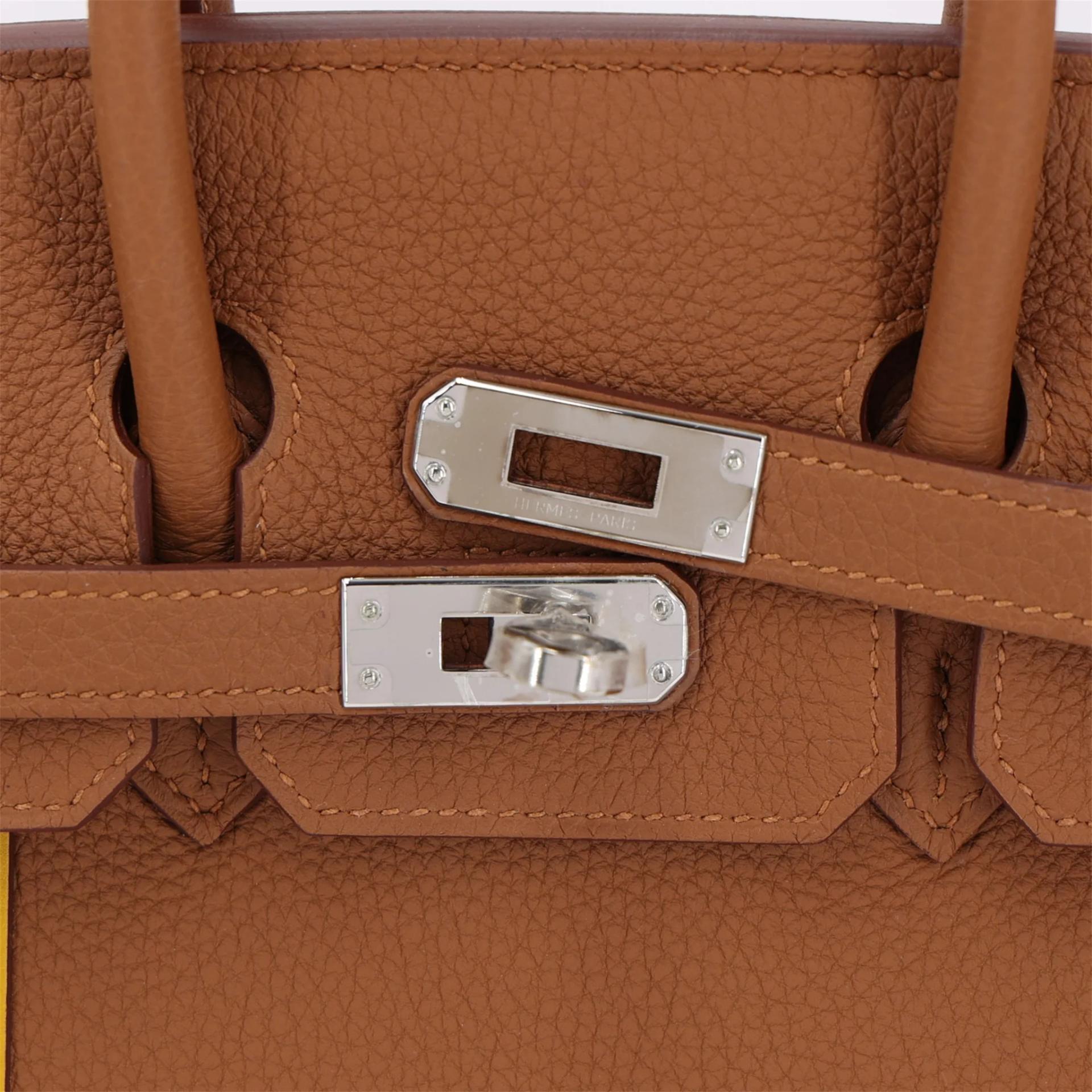 Unused ( Rank NS ) HERMÈS Limited Edition Birkin 25 Officer Gold (37) Togo Palladium hardware C (2018) - 8