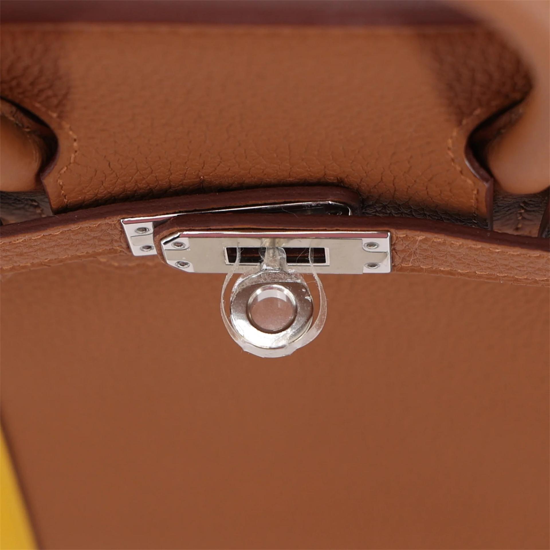 Unused ( Rank NS ) HERMÈS Limited Edition Birkin 25 Officer Gold (37) Togo Palladium hardware C (2018) - 9