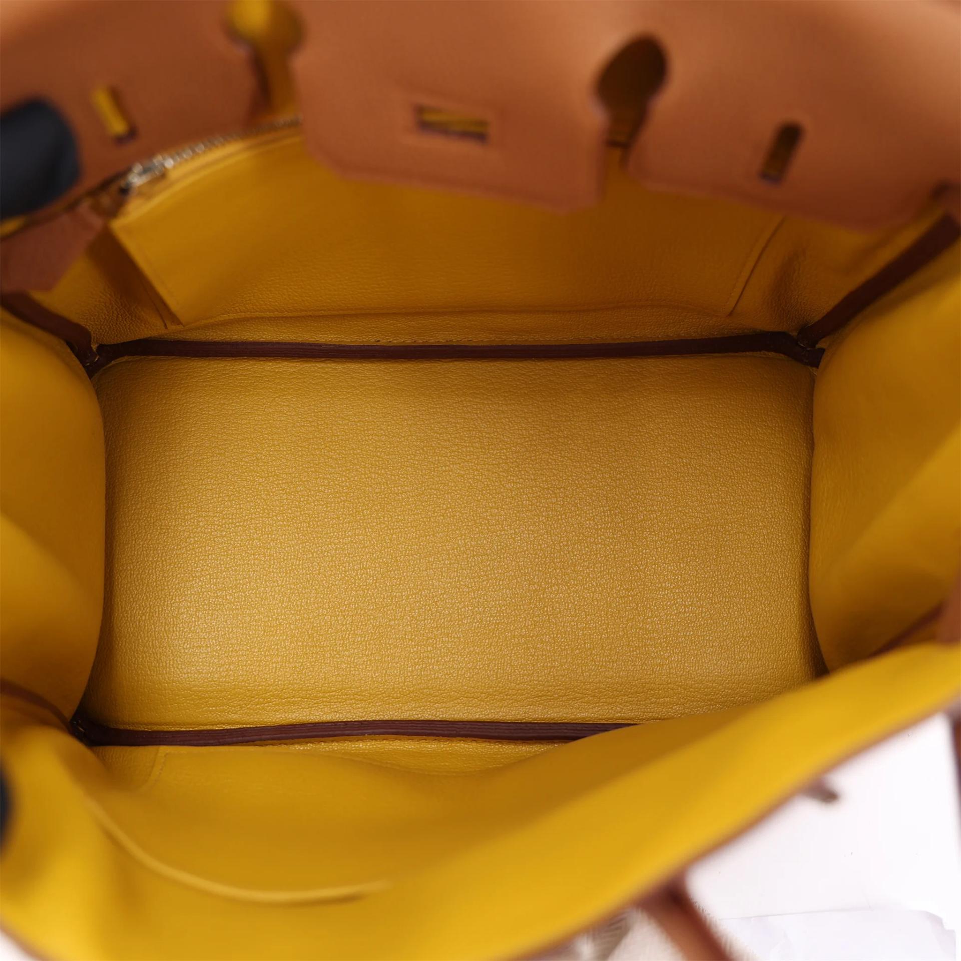 Unused ( Rank NS ) HERMÈS Limited Edition Birkin 25 Officer Gold (37) Togo Palladium hardware C (2018) - 11