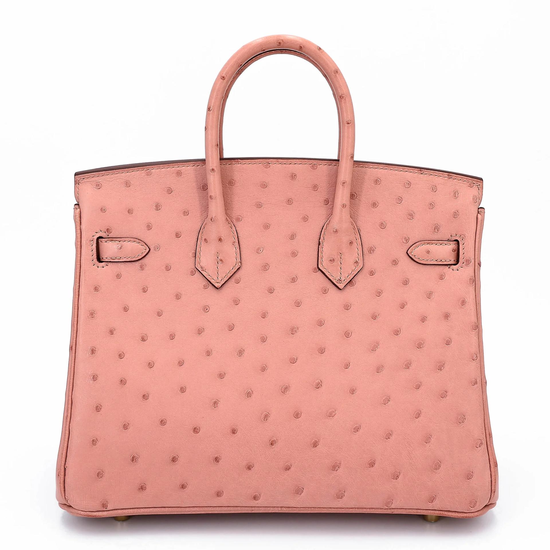 Birkin 25 Terre Cuite (94)