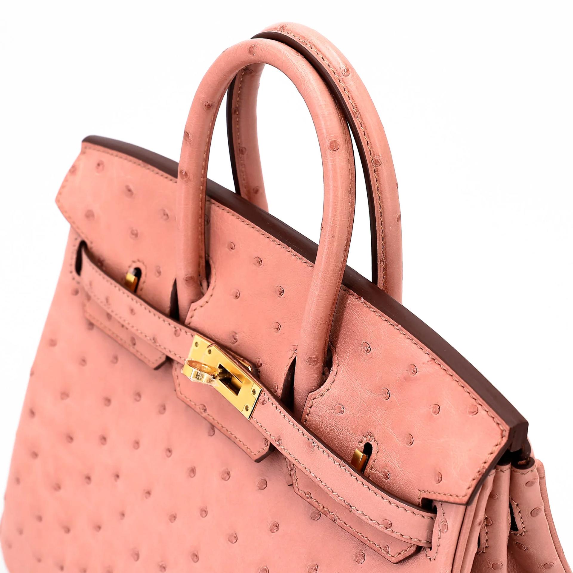 ランク SA HERMÈS エルメス バーキン25 テリキュート (94) オーストリッチ ゴールド金具 B刻印 (2023) - 3