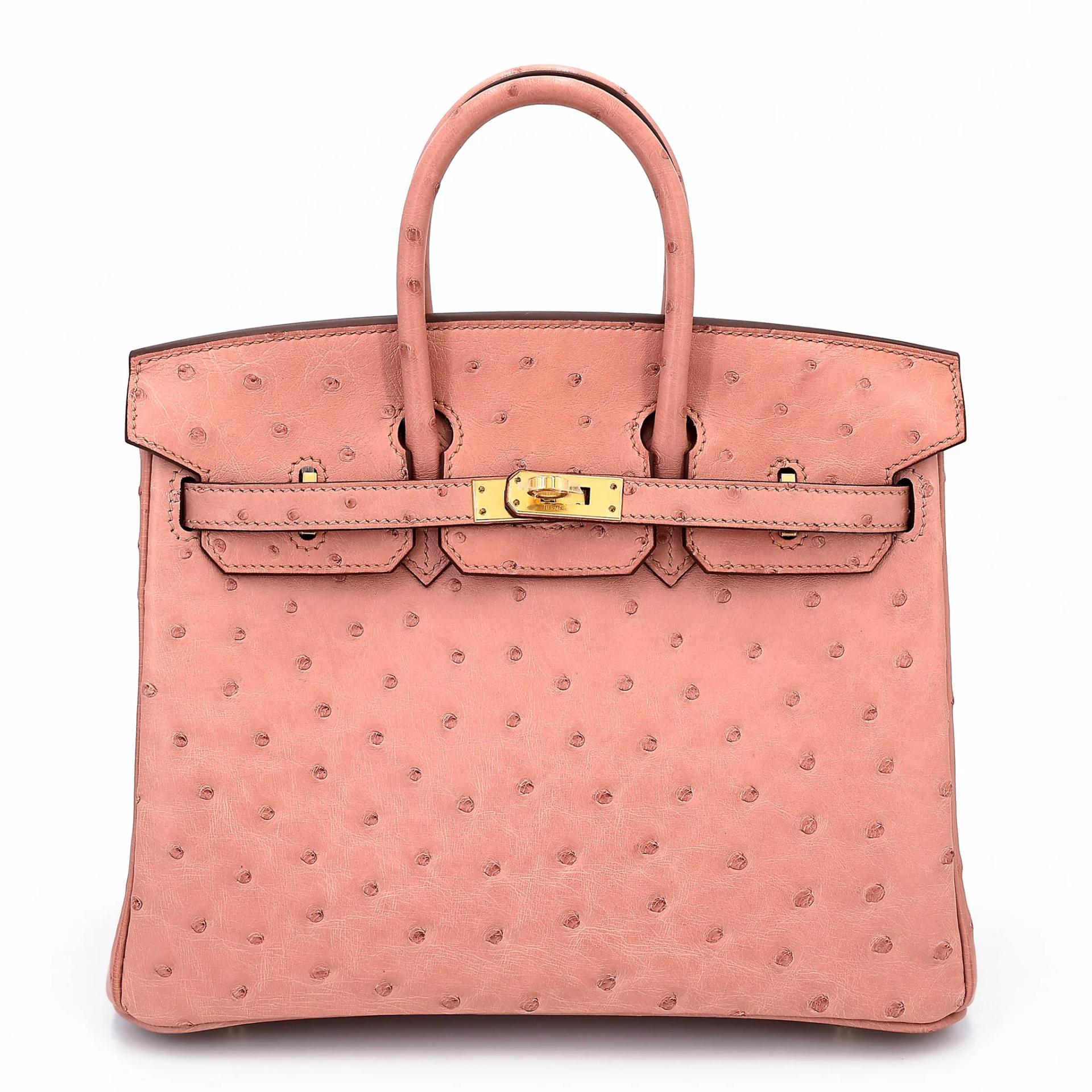 Birkin 25 Terre Cuite (94)