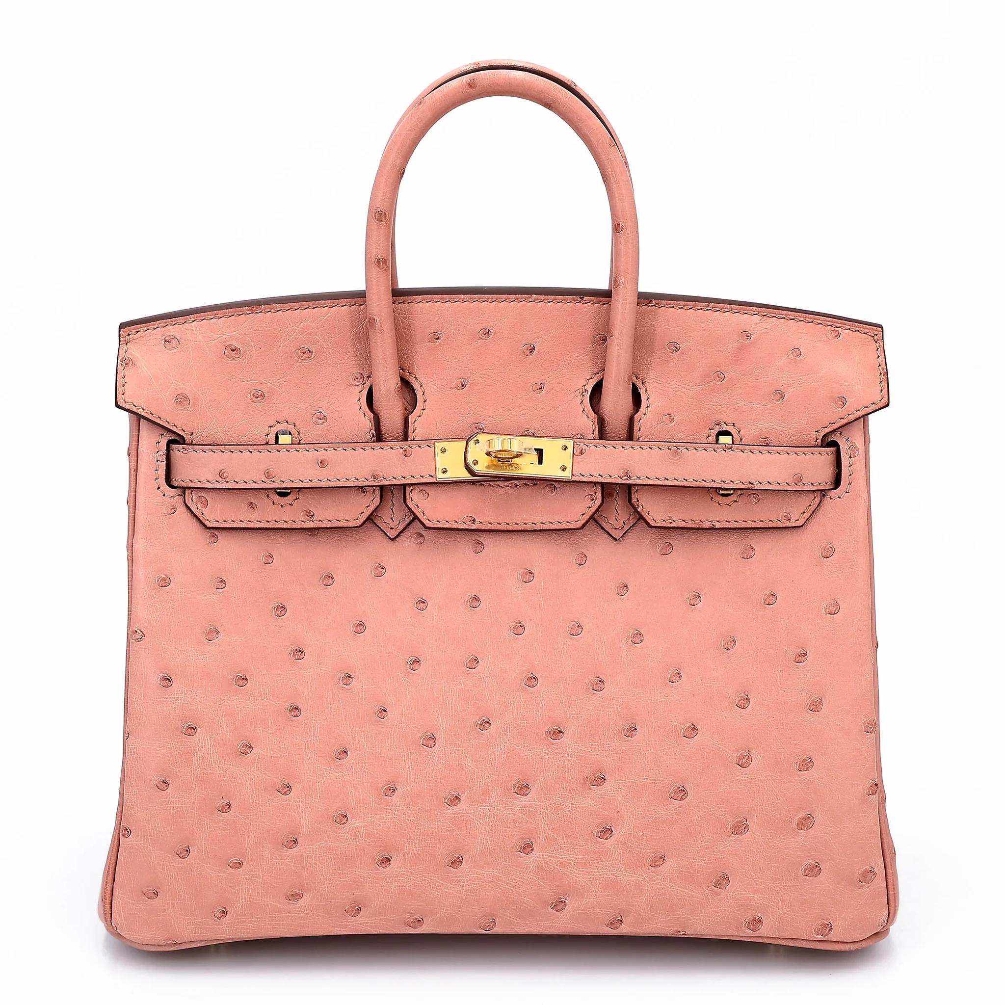 Birkin 25 Terre Cuite (94)