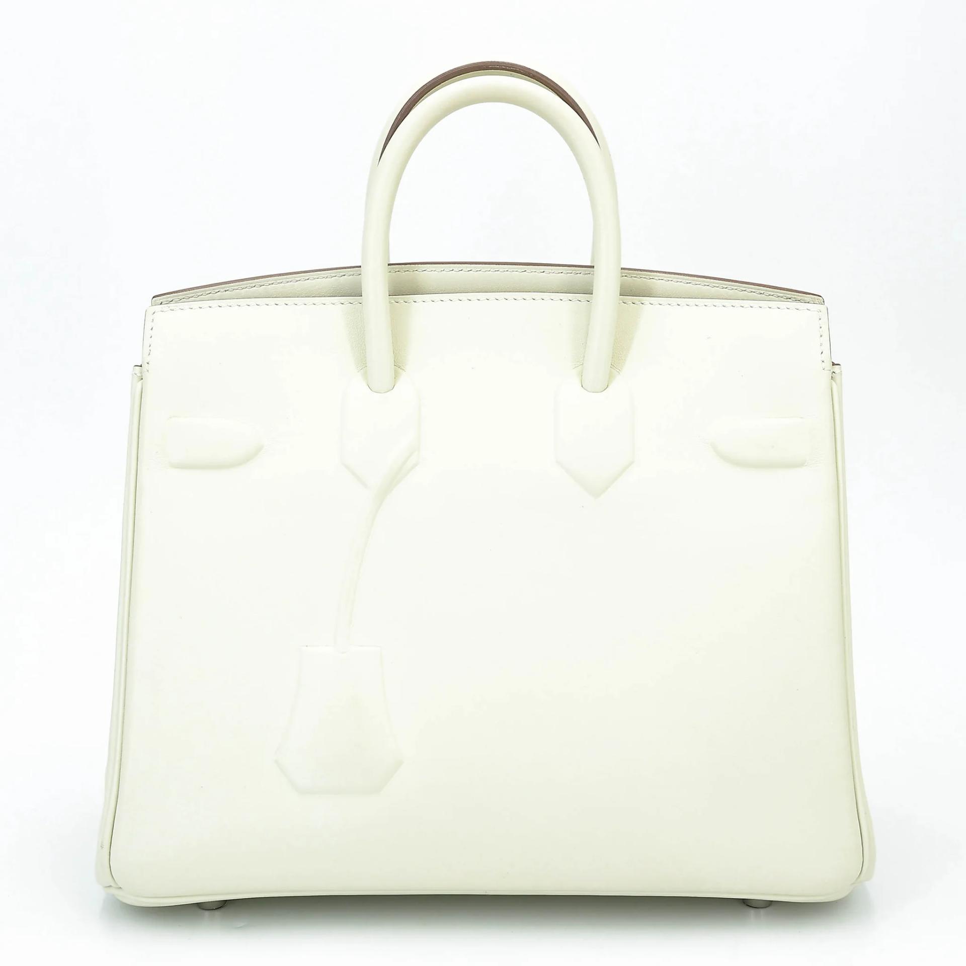 Birkin 25 Shadow Mushroom (0T)