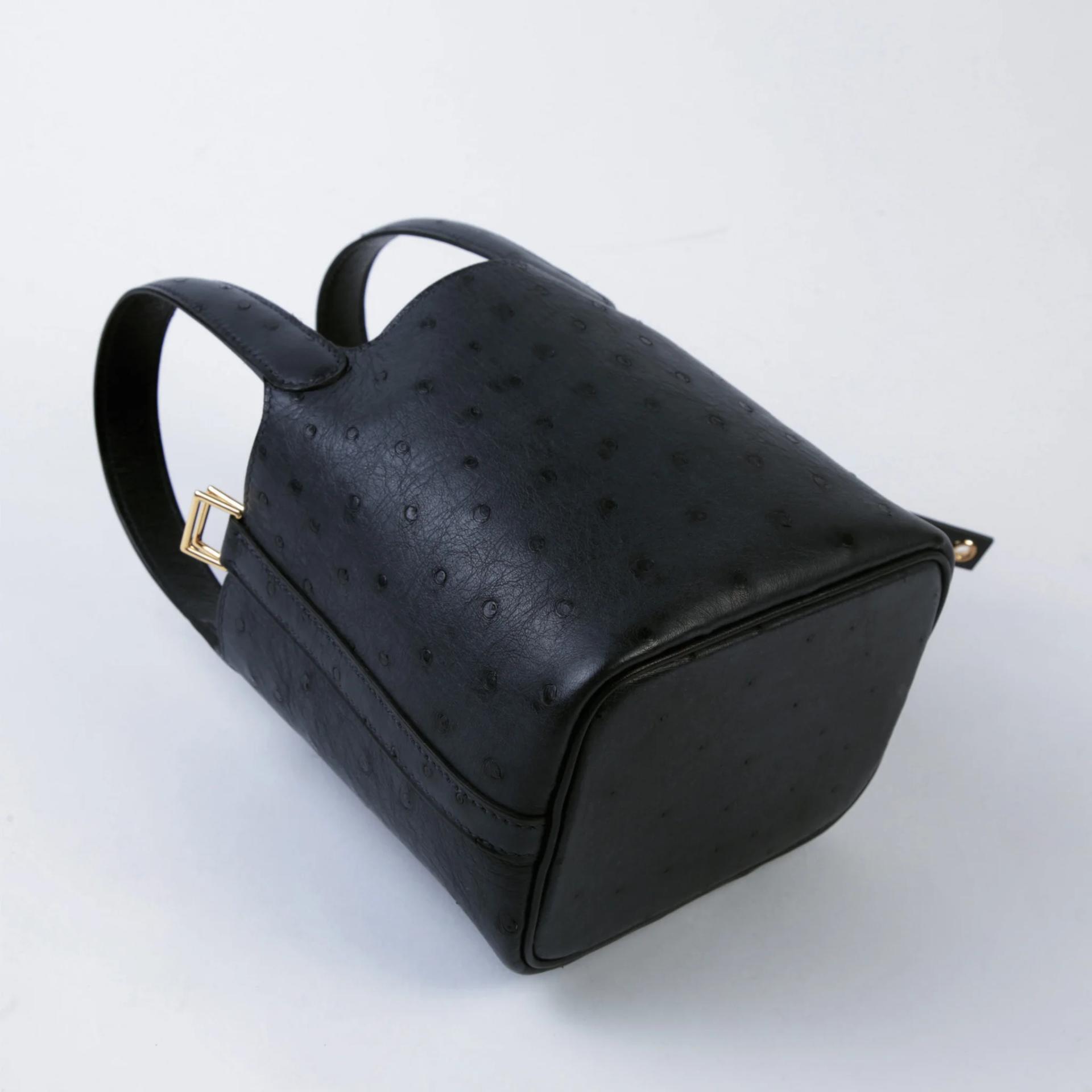 Unused ( Rank NS ) HERMÈS Picotin Lock Micro 14 Caban (3Y) Ostrich Gold hardware W (2024) - 8