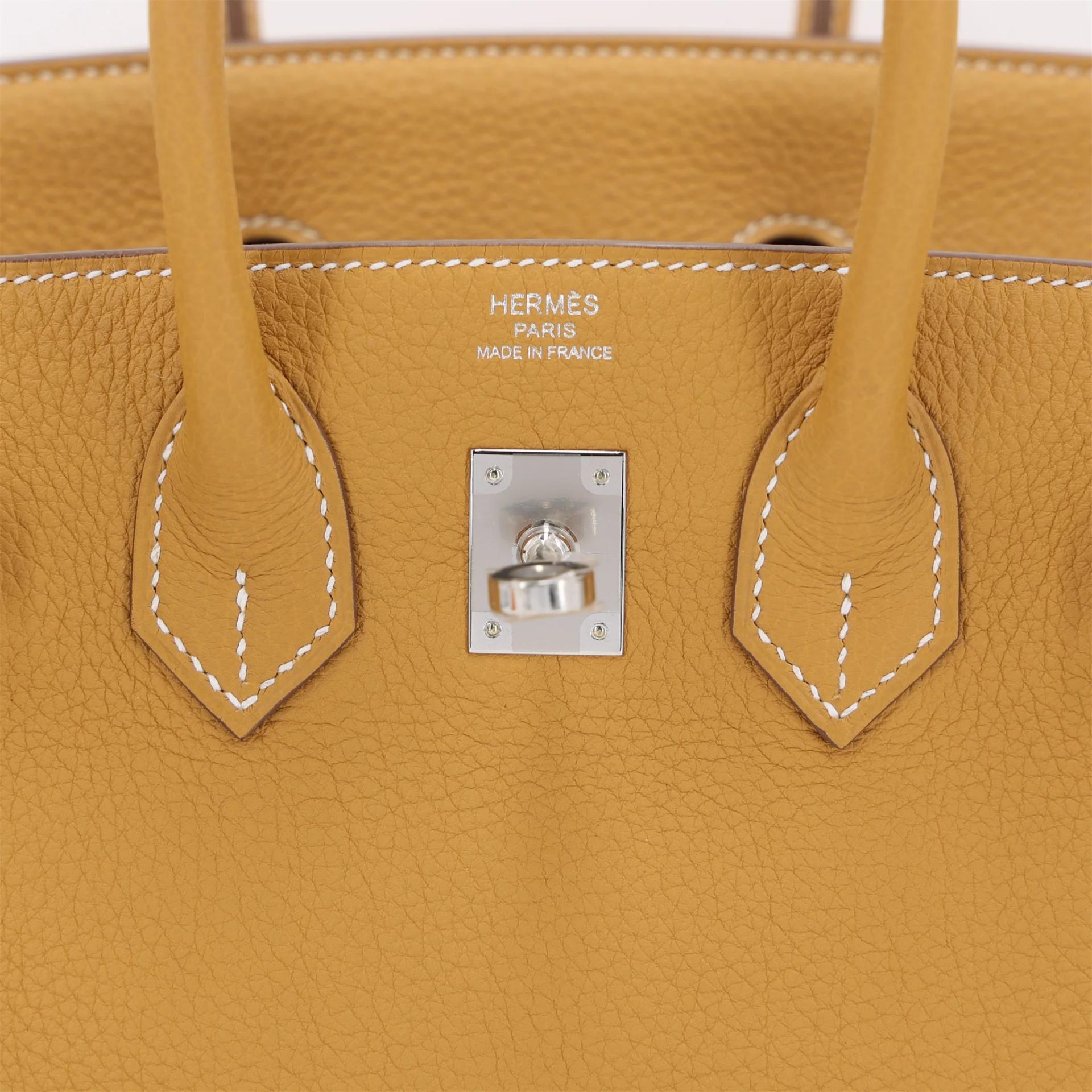 Unused ( Rank NS ) HERMÈS Birkin 25 Natural Sable (21) Togo Palladium hardware W (2024) - 10