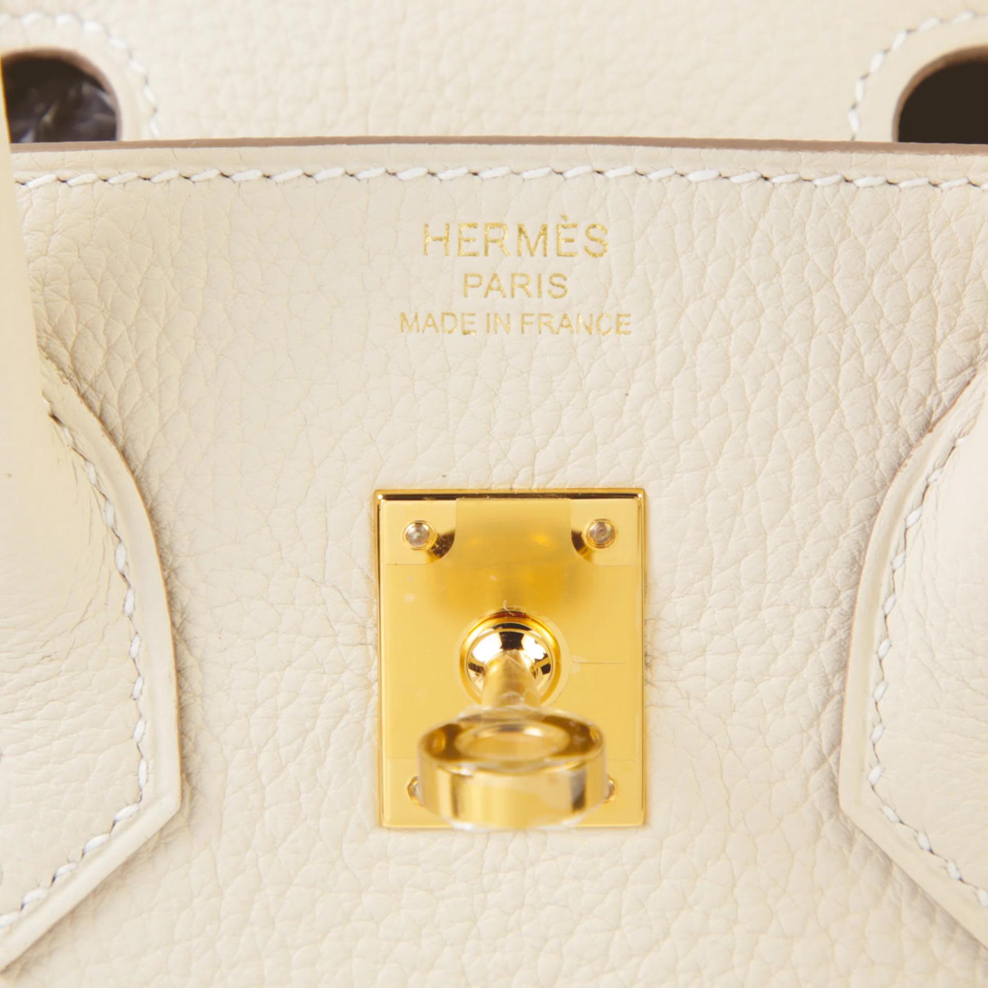 Brand New ( Rank N ) HERMÈS Birkin 25 Craie (10) Togo Gold hardware G (2026) - 9