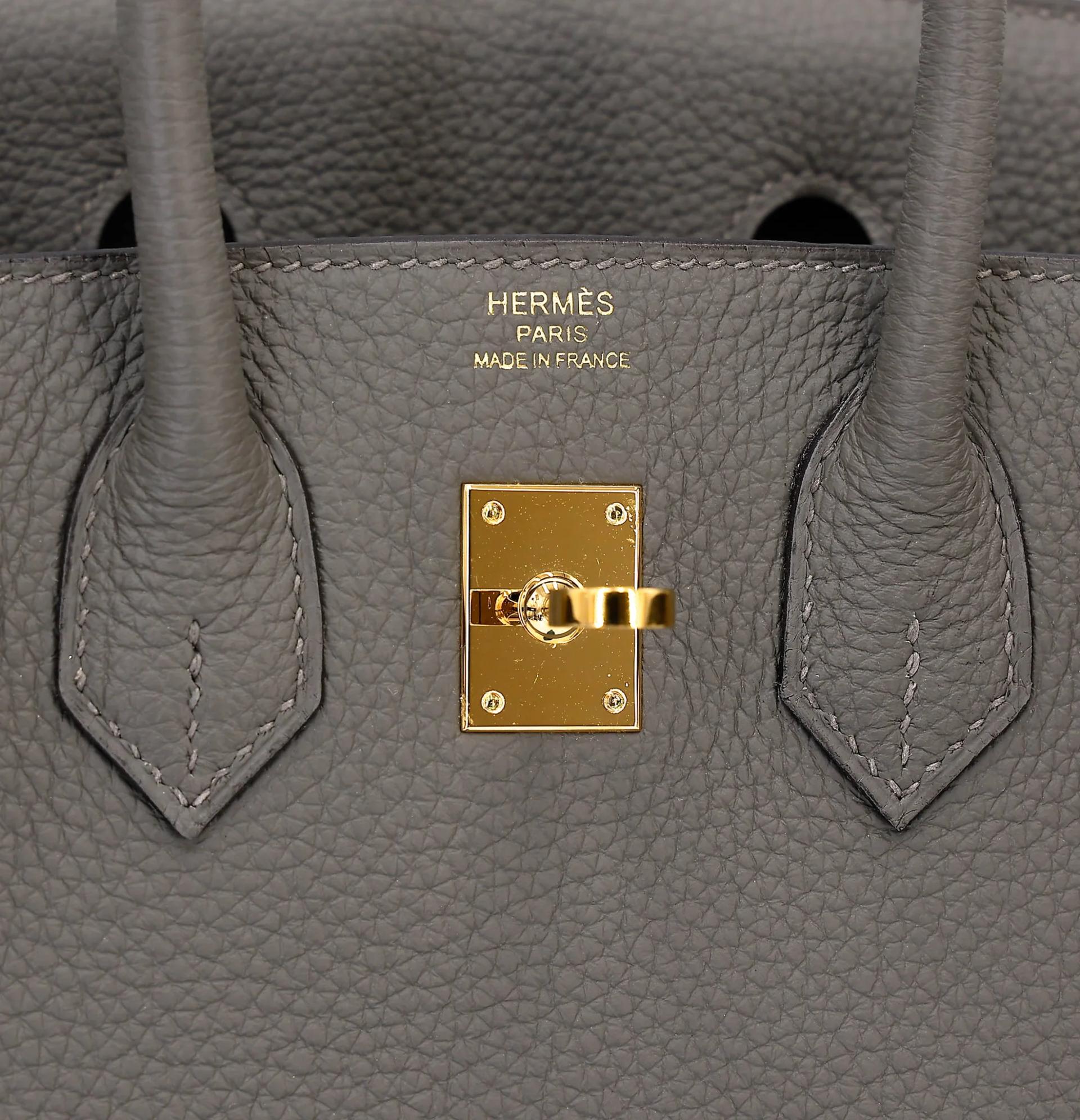 Excellent ( Rank SA ) HERMÈS Birkin 25 Gris Meyer (0L) Togo Gold hardware B (2023) - 11