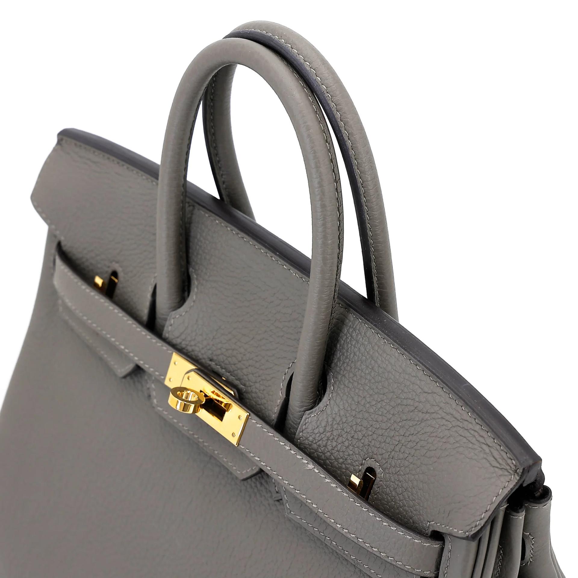 Excellent ( Rank SA ) HERMÈS Birkin 25 Gris Meyer (0L) Togo Gold hardware B (2023) - 3