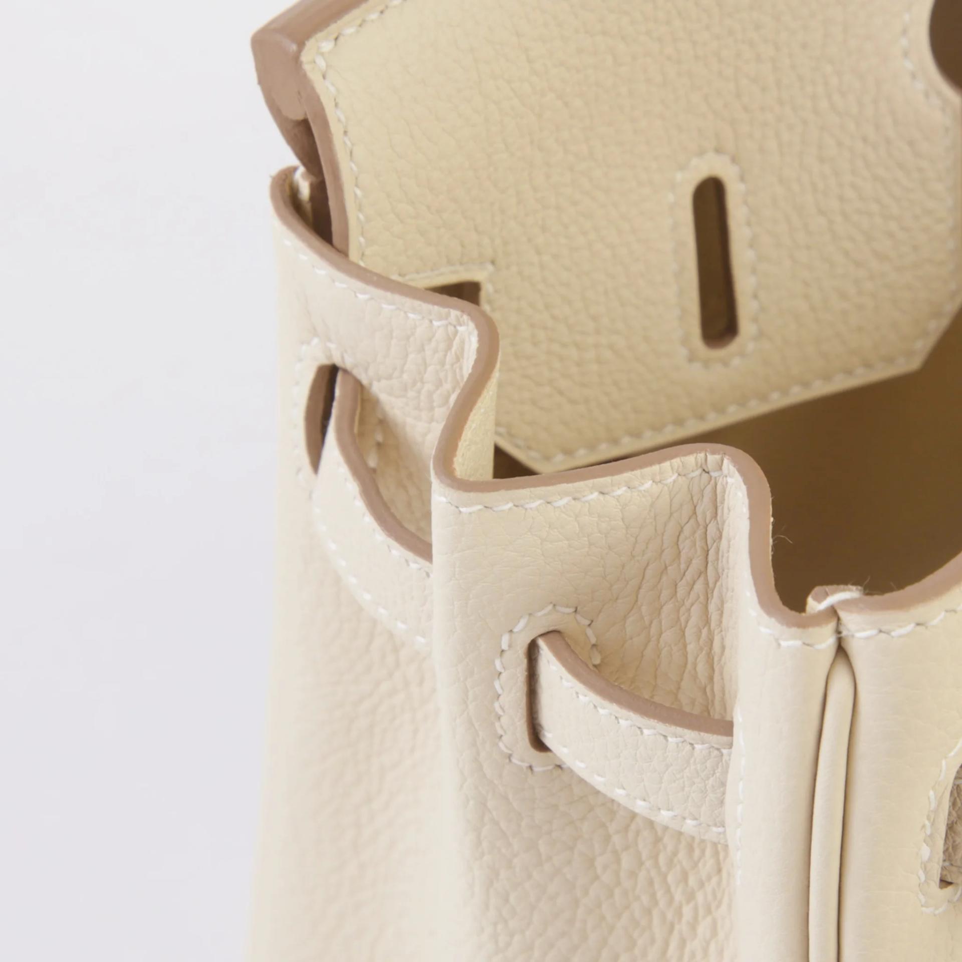Brand New ( Rank N ) HERMÈS Birkin 25 Craie (10) Togo Gold hardware G (2026) - 12