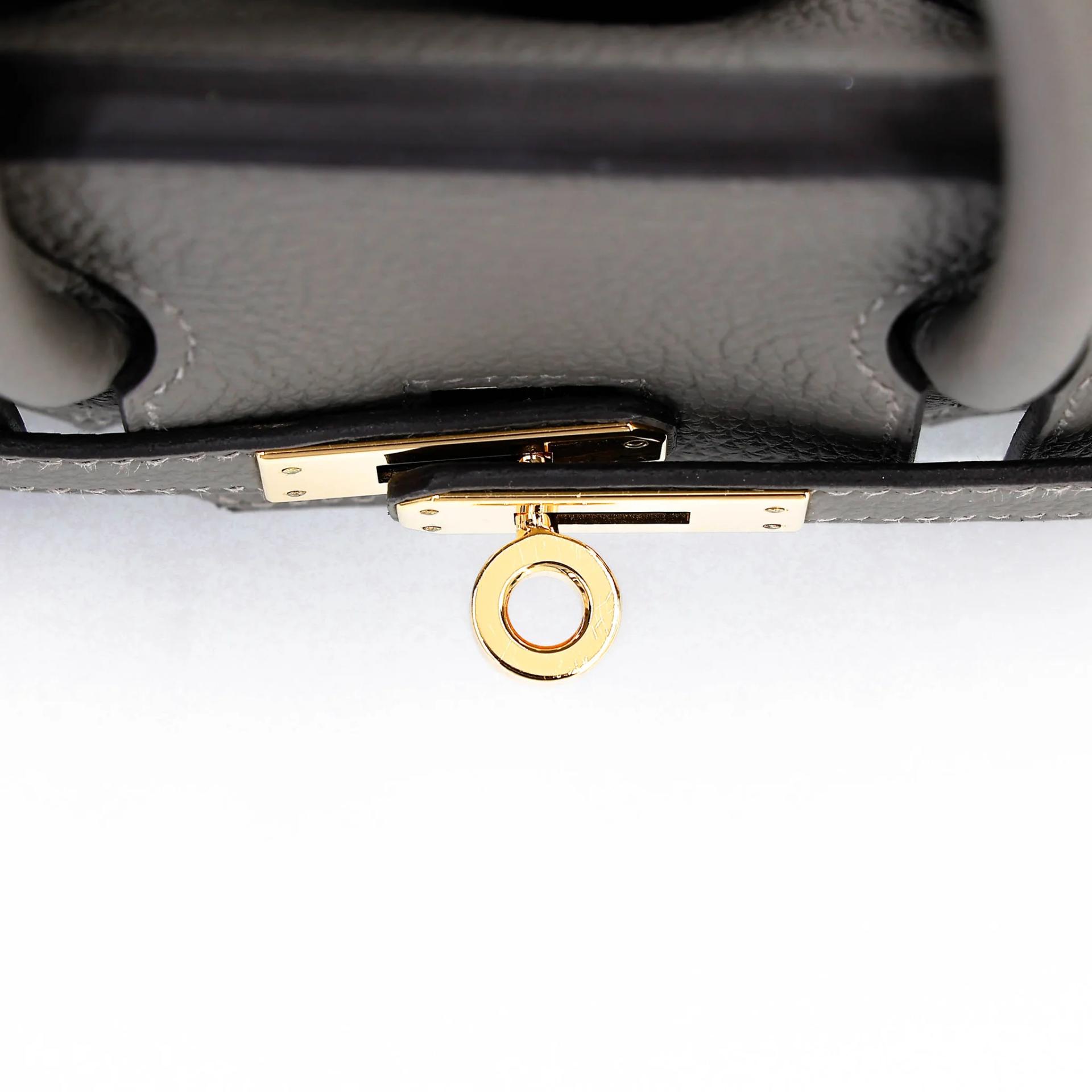 Excellent ( Rank SA ) HERMÈS Birkin 25 Gris Meyer (0L) Togo Gold hardware B (2023) - 9
