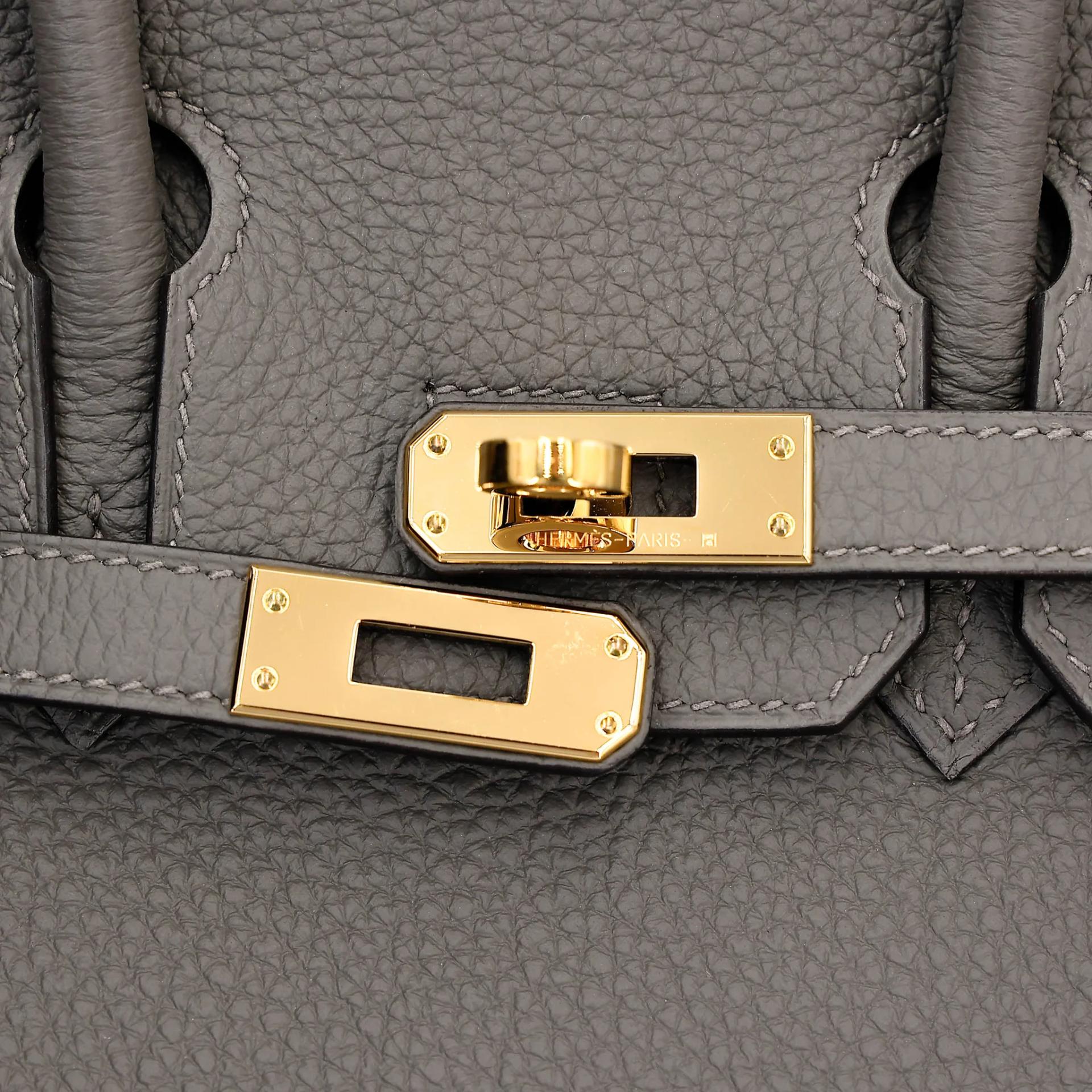 Excellent ( Rank SA ) HERMÈS Birkin 25 Gris Meyer (0L) Togo Gold hardware B (2023) - 8