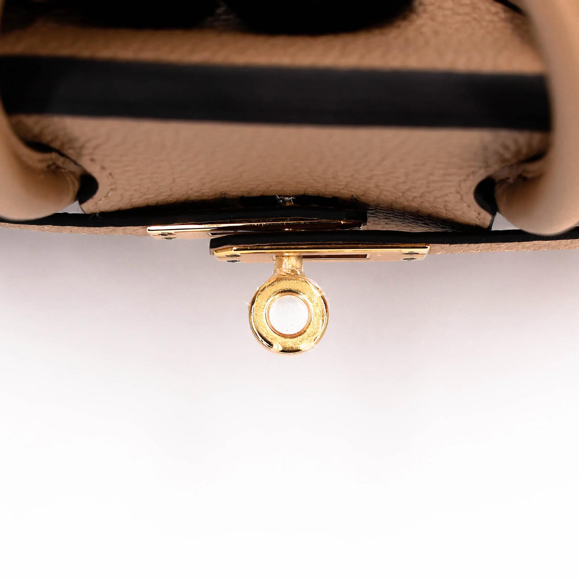 Unused ( Rank NS ) HERMÈS Birkin 25 Chai (0M) Togo Gold hardware U (2022) - 9