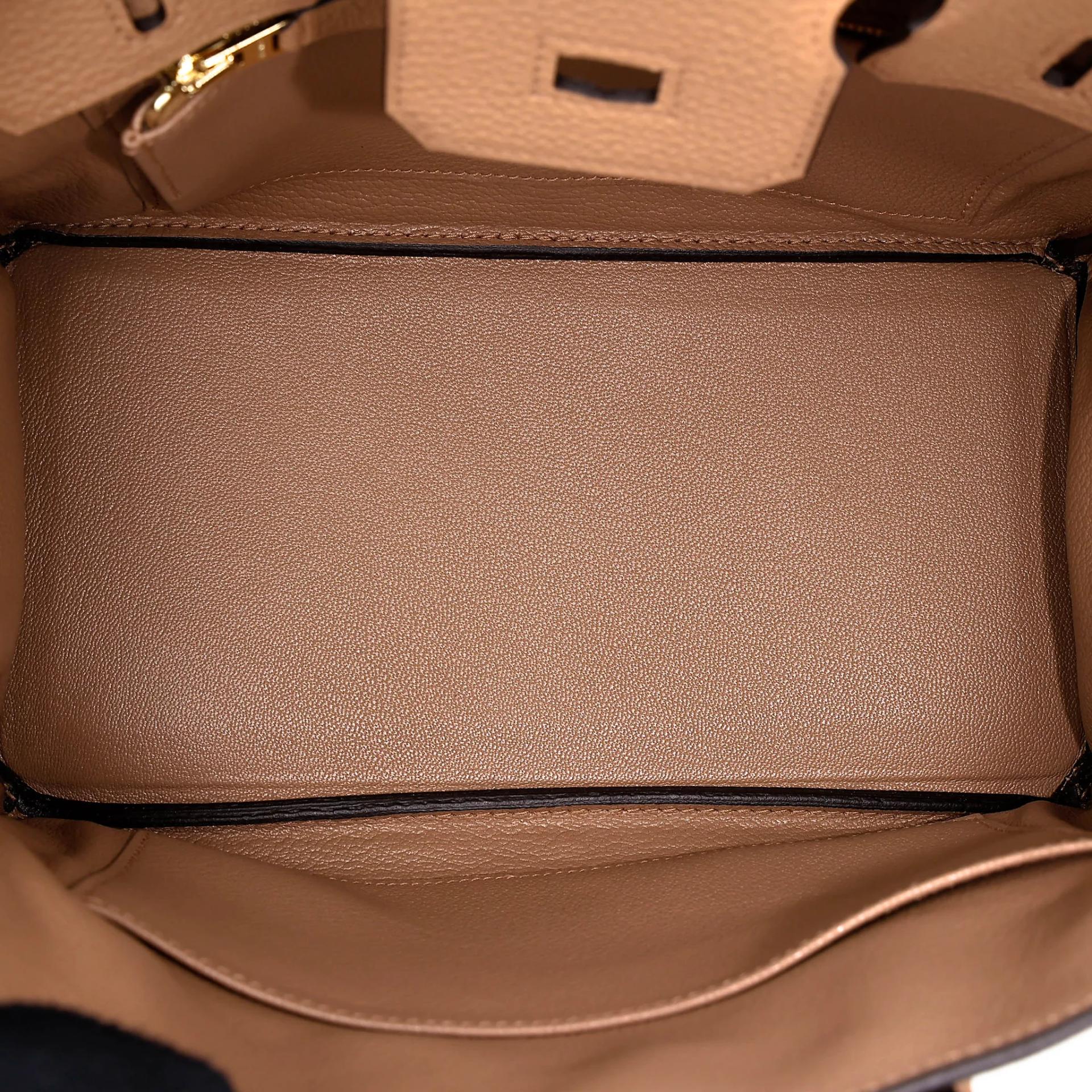 Unused ( Rank NS ) HERMÈS Birkin 25 Chai (0M) Togo Gold hardware U (2022) - 15