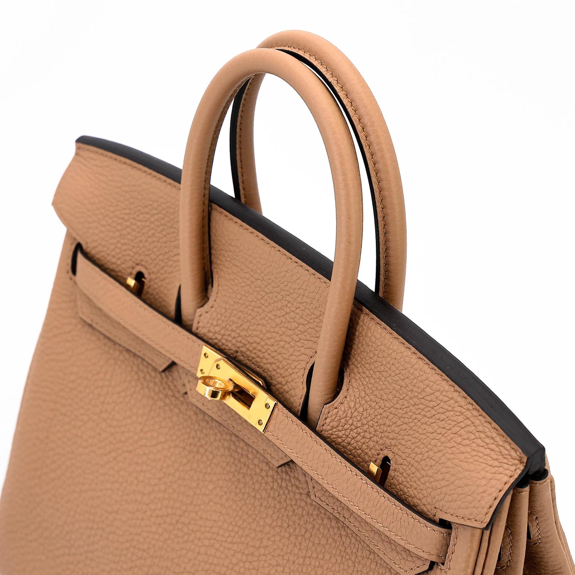 Unused ( Rank NS ) HERMÈS Birkin 25 Chai (0M) Togo Gold hardware U (2022) - 3