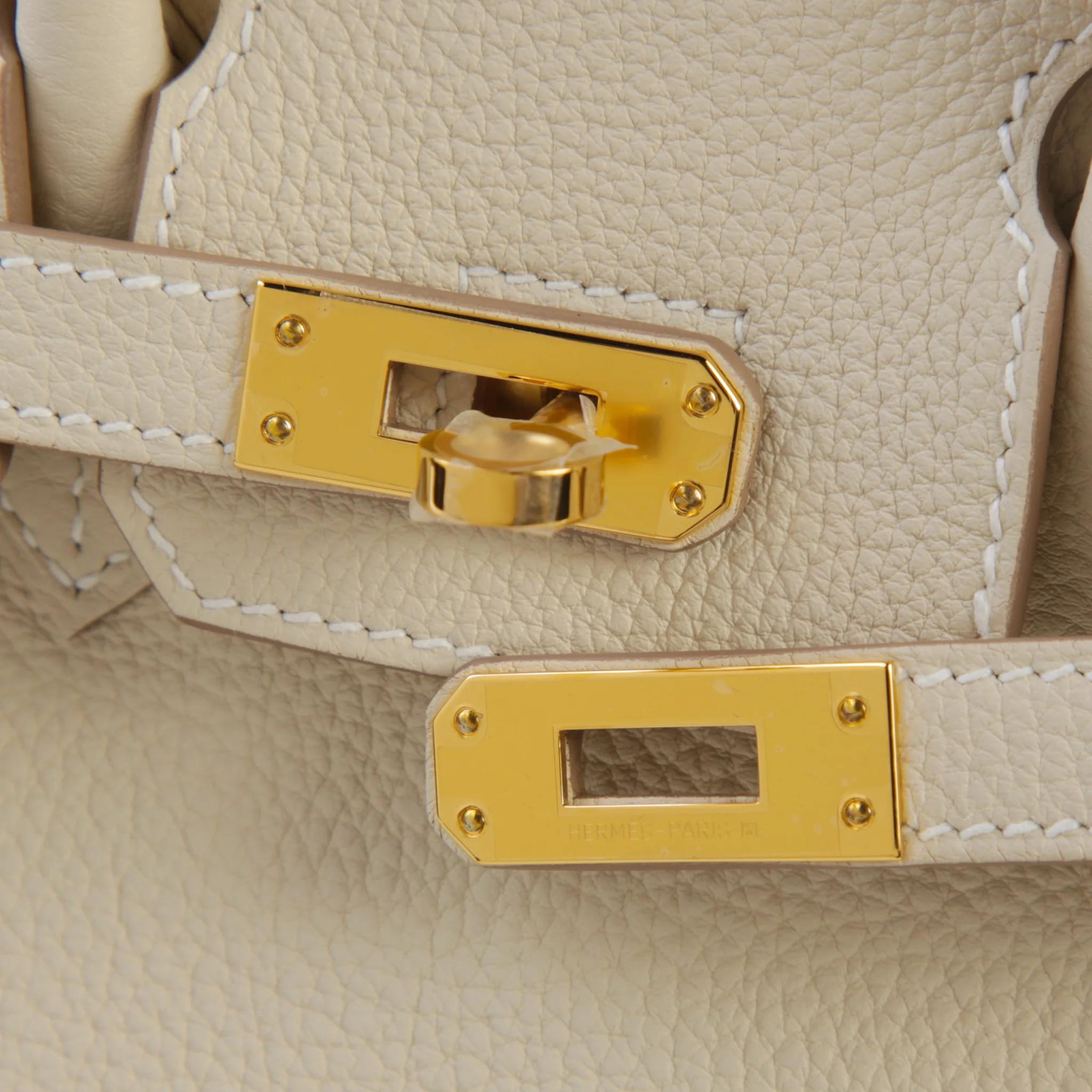 Brand New ( Rank N ) HERMÈS Birkin 25 Craie (10) Togo Gold hardware G (2026) - 8