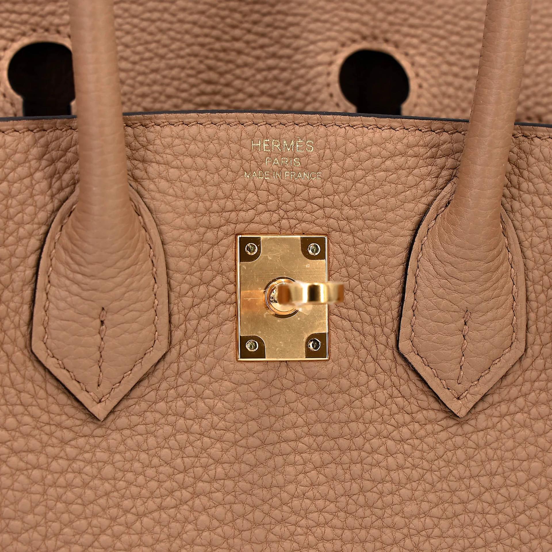 Unused ( Rank NS ) HERMÈS Birkin 25 Chai (0M) Togo Gold hardware U (2022) - 10