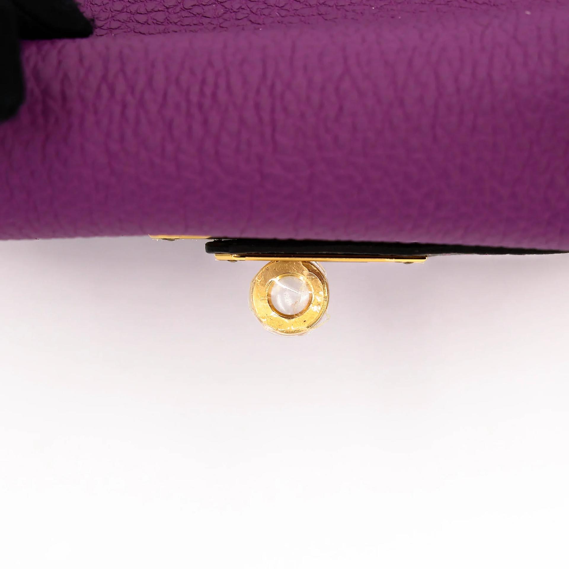 Unused ( Rank NS ) HERMÈS Special Order Kelly 25 HSS Anemone (P9) Etain (8F) Togo Gold hardware D (2019) - 9