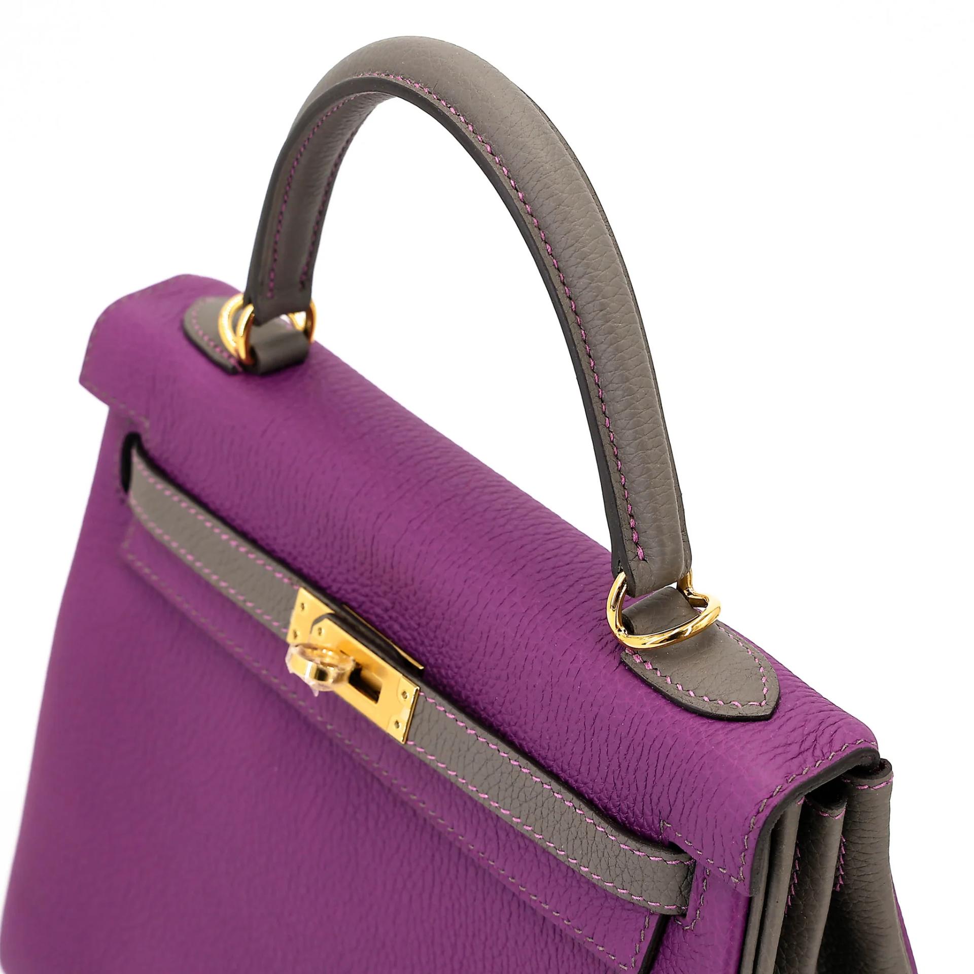 Unused ( Rank NS ) HERMÈS Special Order Kelly 25 HSS Anemone (P9) Etain (8F) Togo Gold hardware D (2019) - 3