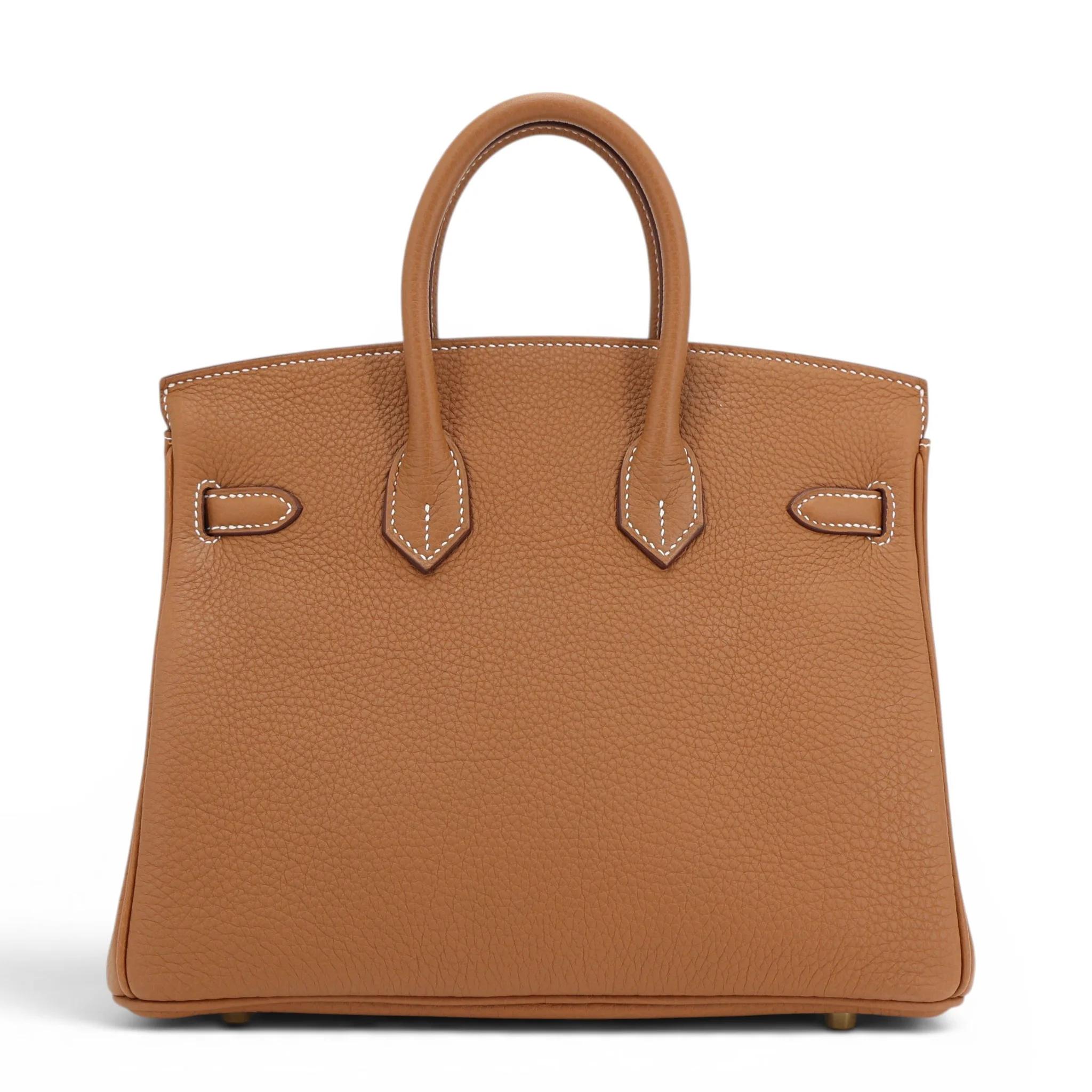 Birkin 25 Gold (37)