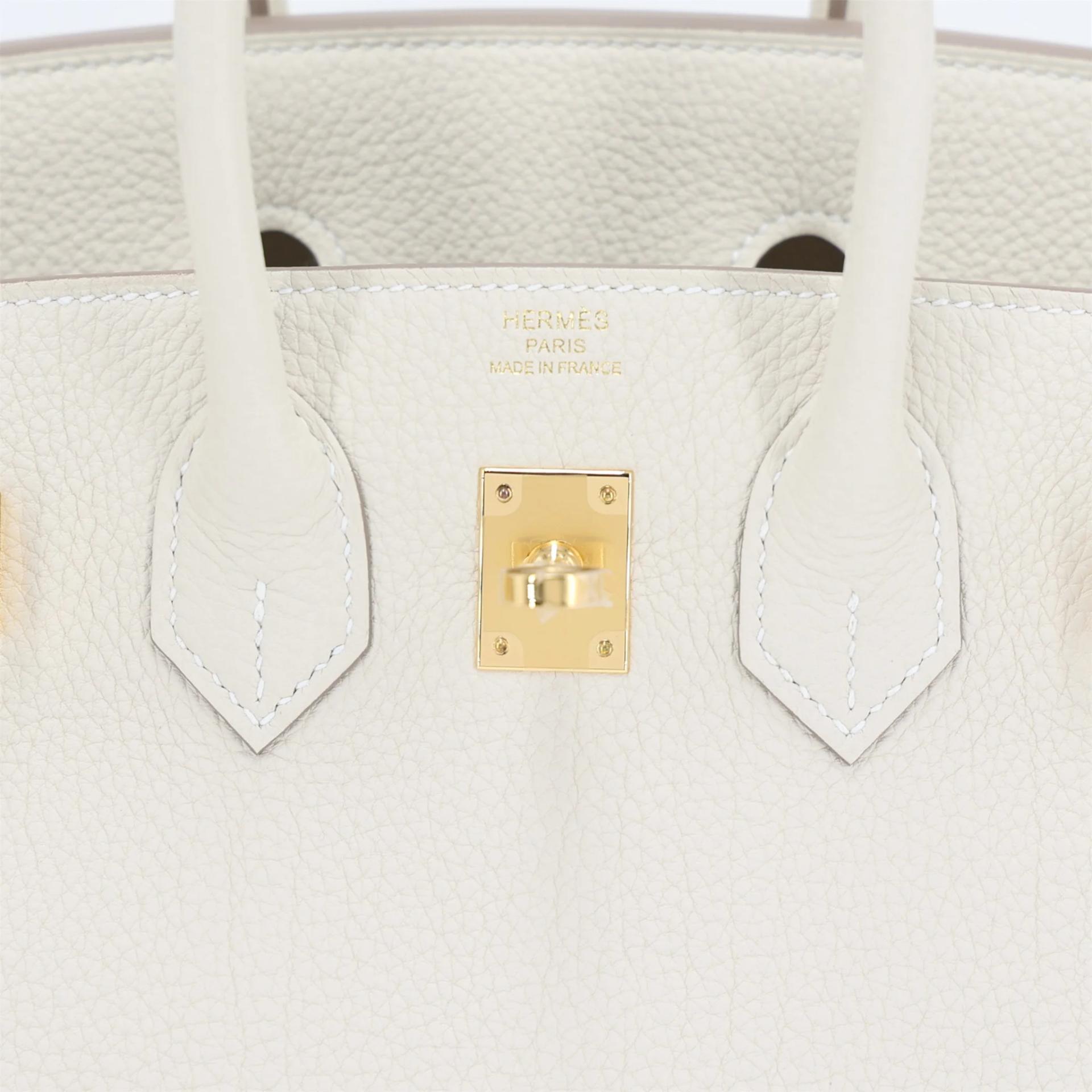 Brand New ( Rank N ) HERMÈS Birkin 25 Craie (10) Togo Gold hardware G (2026) - 10