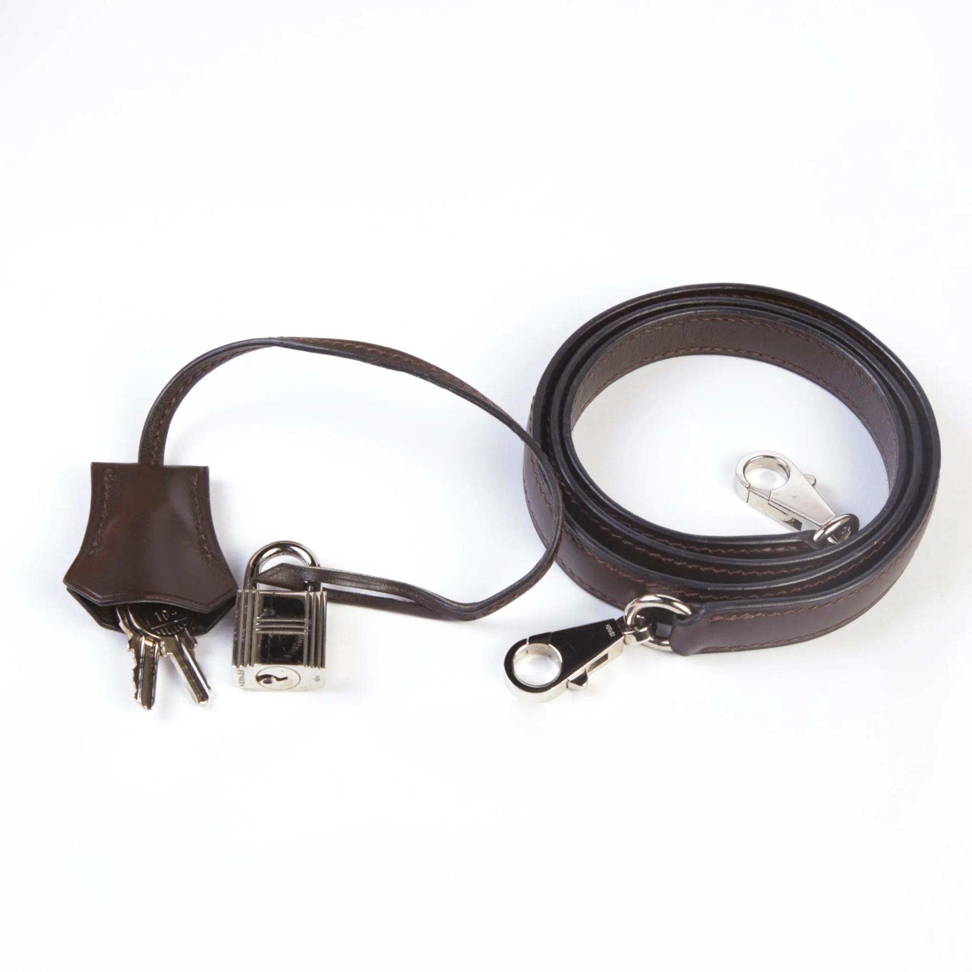 HERMÈS Limited Edition Bolide 31 handbag in Multi-color Vibrato goatskin and Chocolate Box calfskin with Palladium hardware - 12