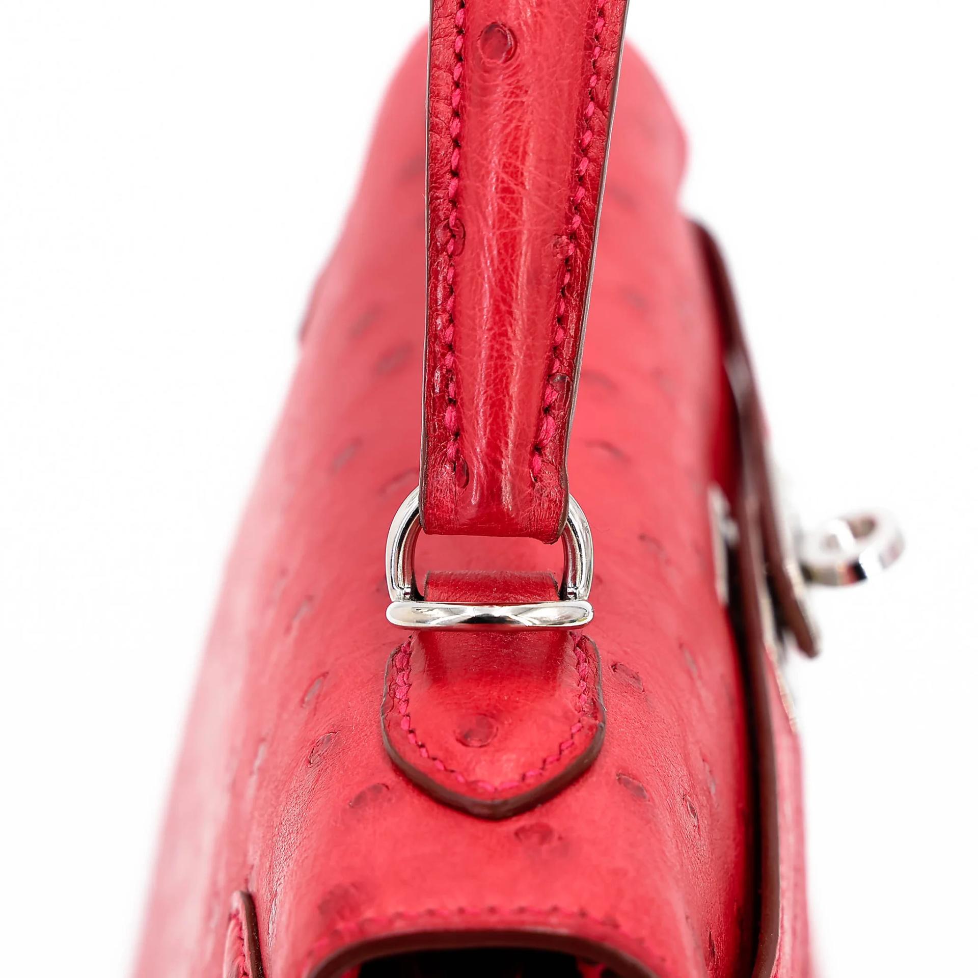 ランク SA HERMÈS エルメス ケリー25 セリエ ルージュヴィフ (53) オーストリッチ シルバー金具 X刻印 (2016) - 5