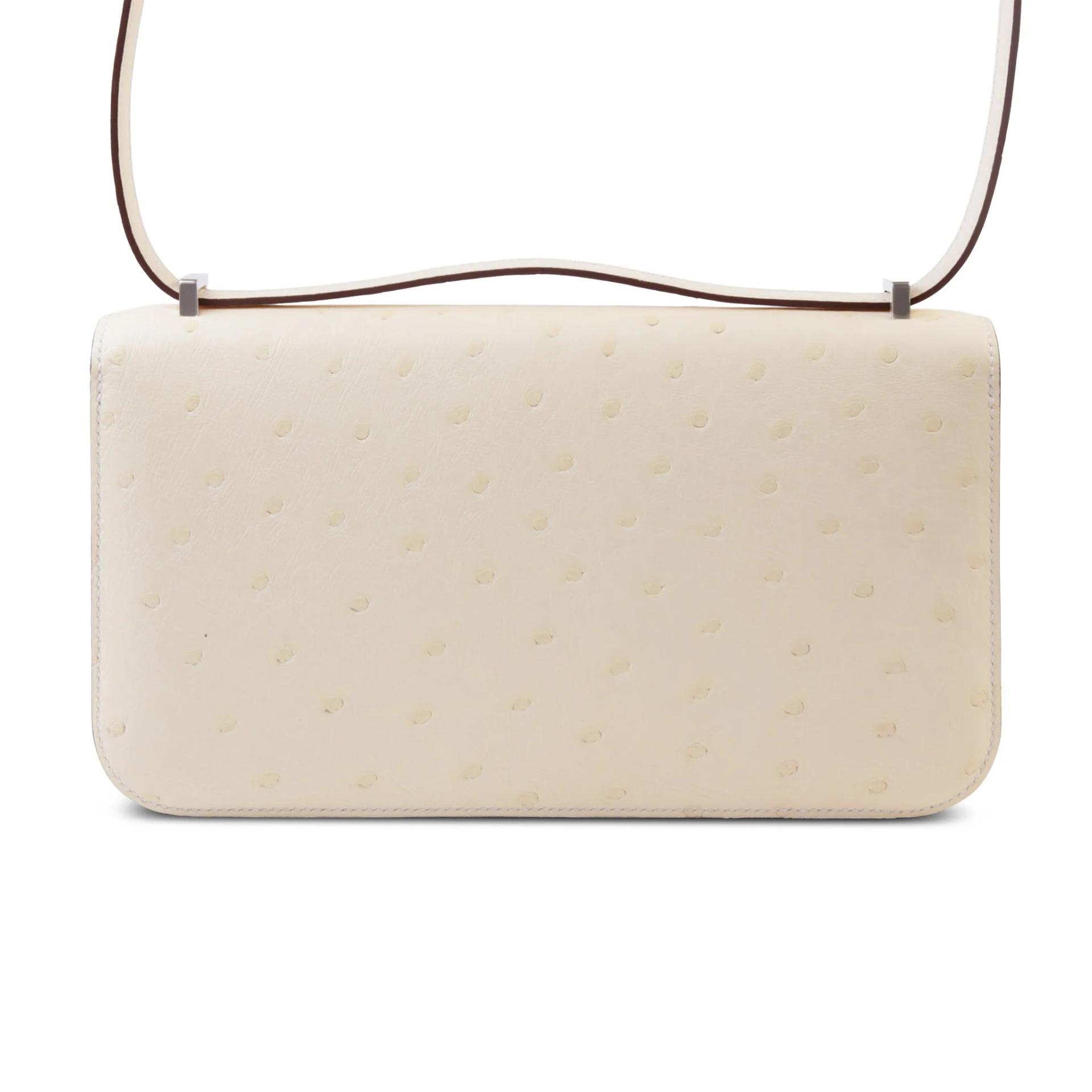 Constance Elan 2024 Nata (I2)