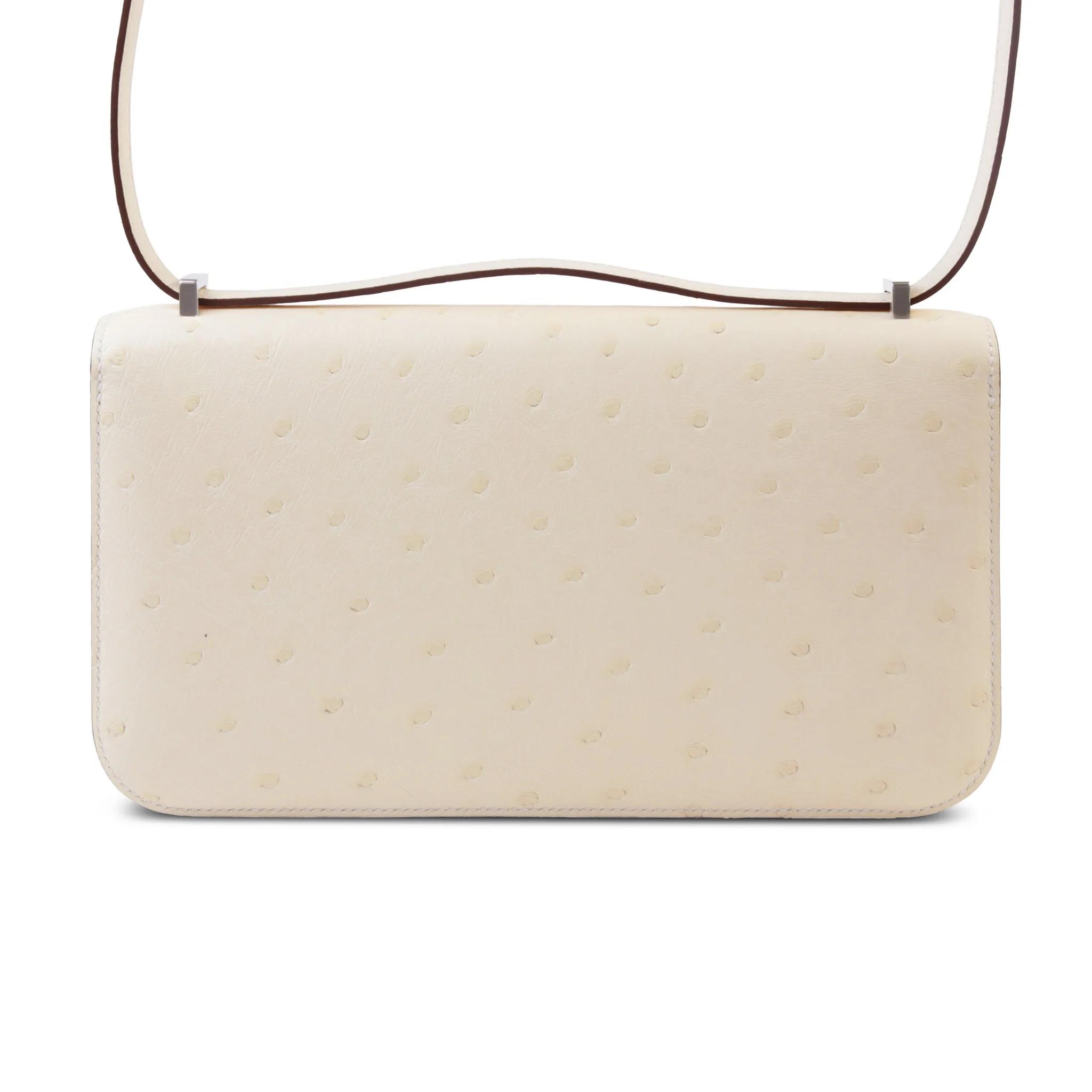 Constance Elan 2024 Nata (I2)