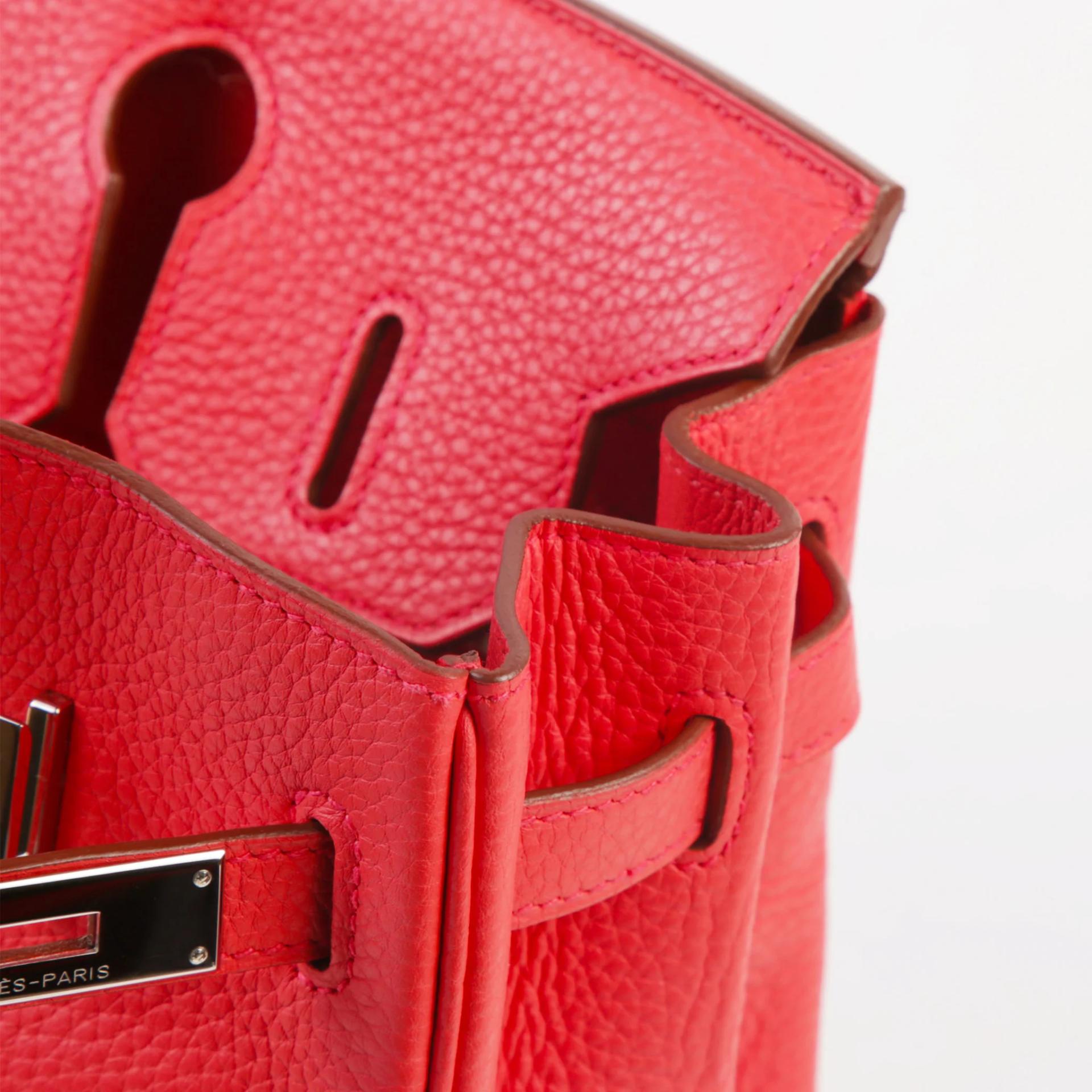Very Good ( Rank A) HERMÈS Birkin 30 Bougainvillea (A5) Clemence Palladium hardware Square N (2010) - 12