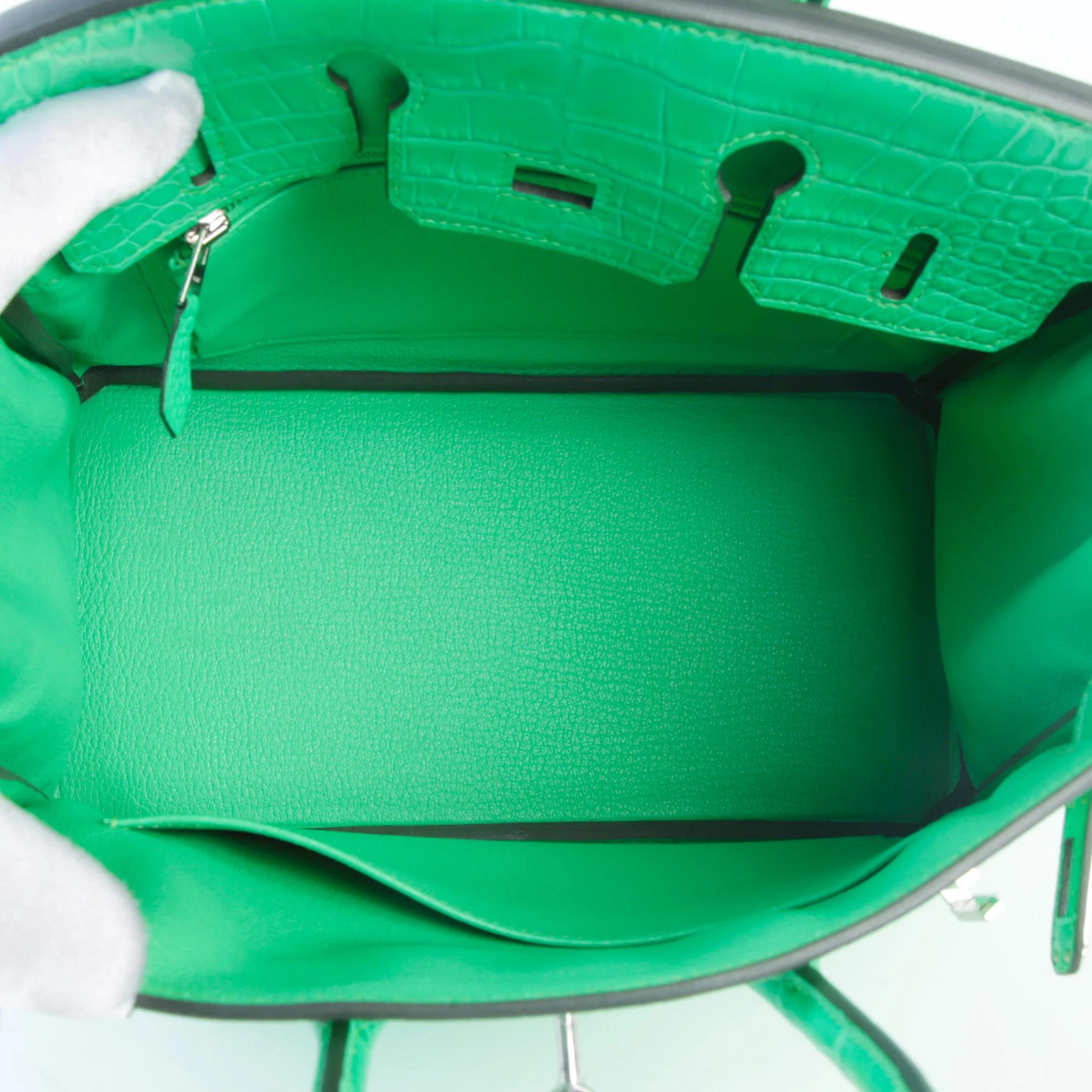 Unused ( Rank NS ) HERMÈS Birkin 25 Touch Vert Comics (0Z) Matte Alligator Togo Palladium hardware B (2023) - 10