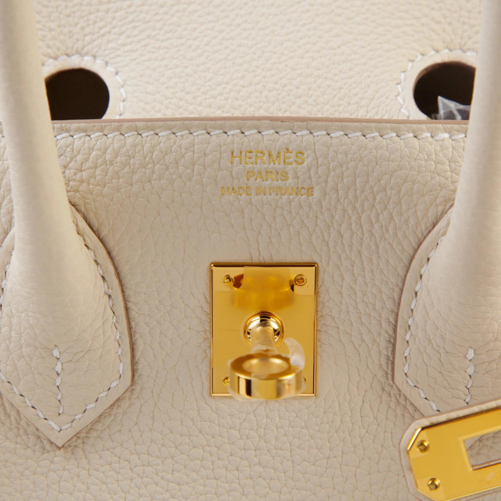 Brand New ( Rank N ) HERMÈS Birkin 25 Craie (10) Togo Gold hardware G (2026) - 9