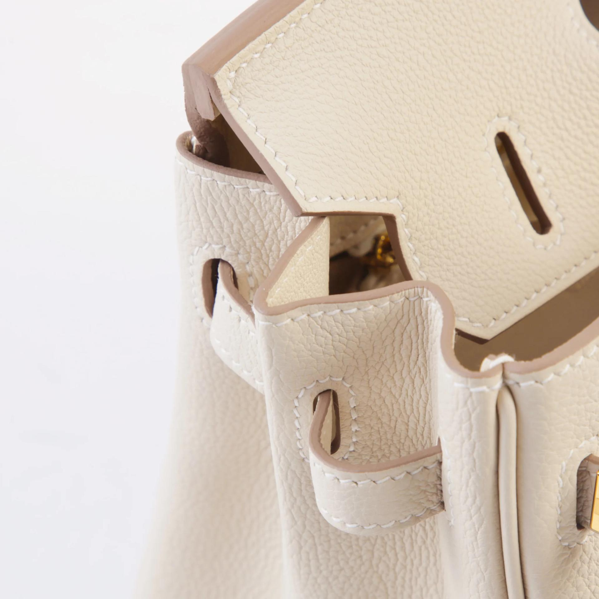 Brand New ( Rank N ) HERMÈS Birkin 25 Craie (10) Togo Gold hardware G (2026) - 12