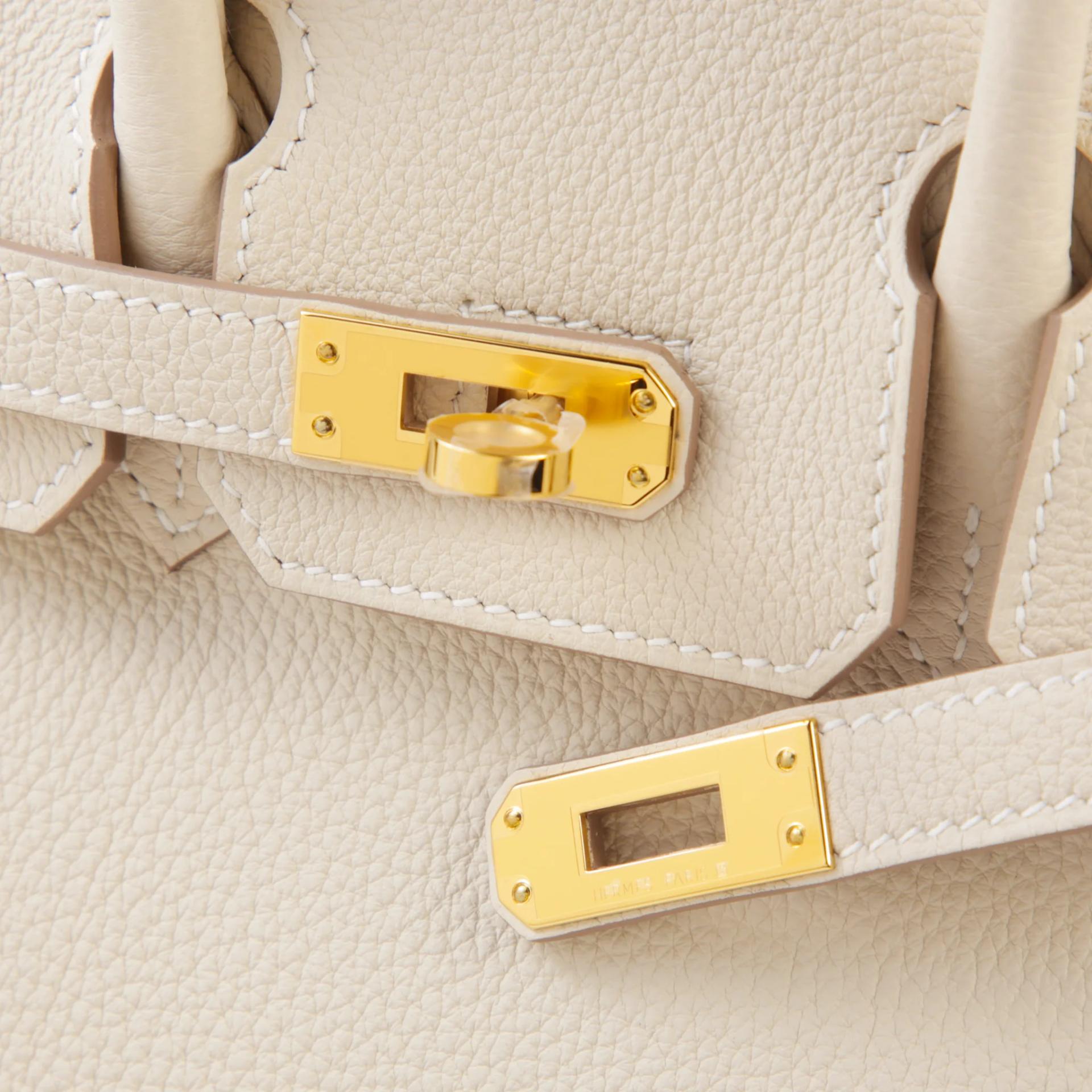 Brand New ( Rank N ) HERMÈS Birkin 25 Craie (10) Togo Gold hardware G (2026) - 8